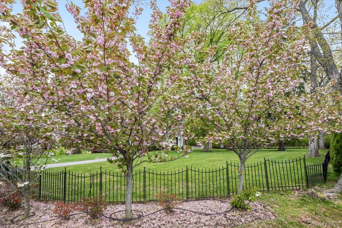 1162 North Avenue Property Photo 29