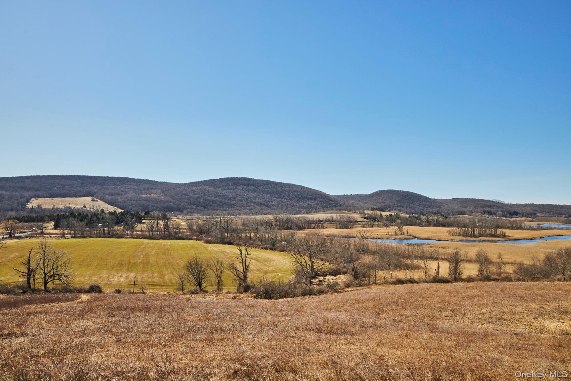 87 Kaye Road Property Photo 3