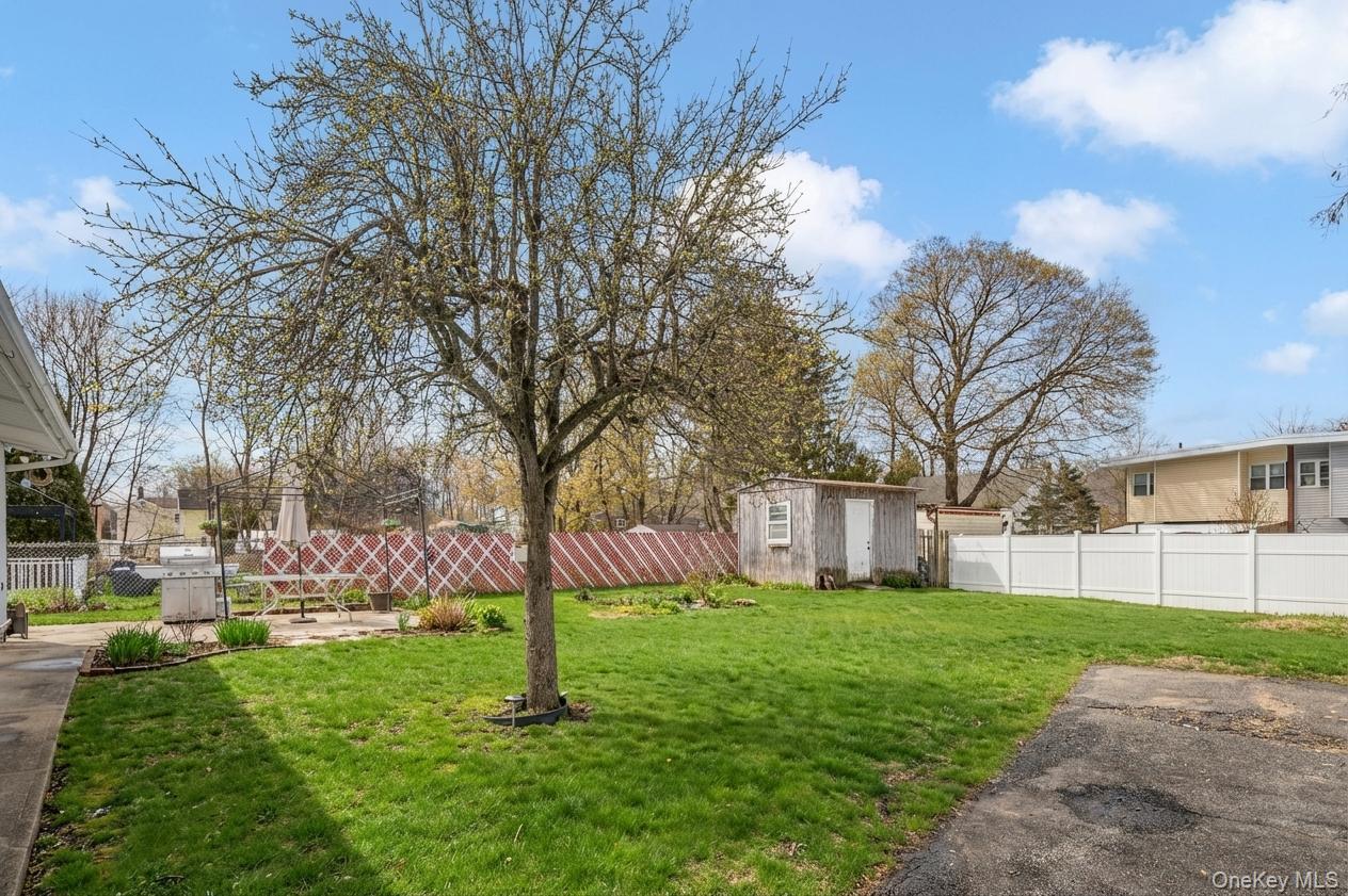 97 Benson Street Property Photo 25