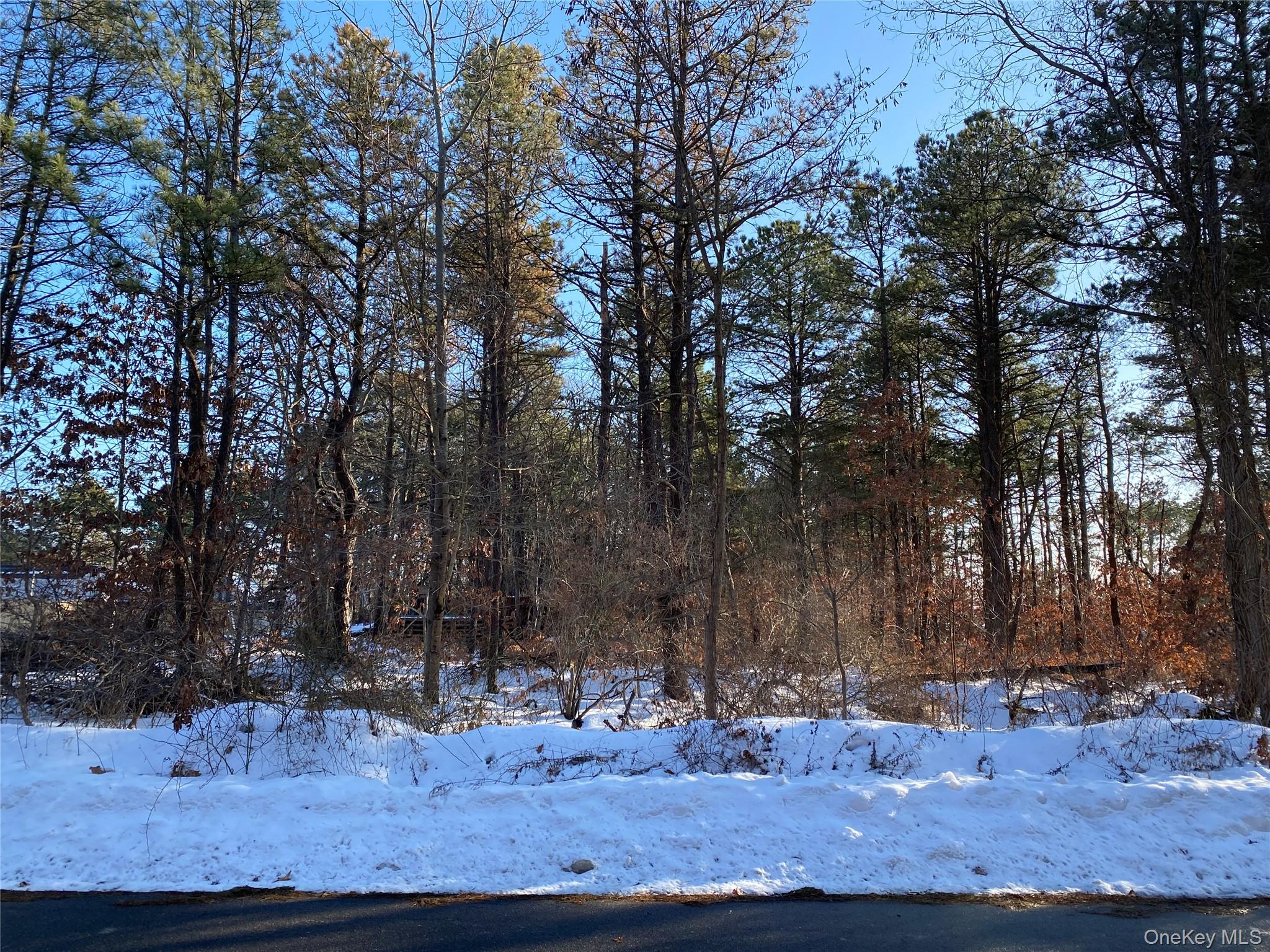 Agamemnon Avenue Property Photo 1