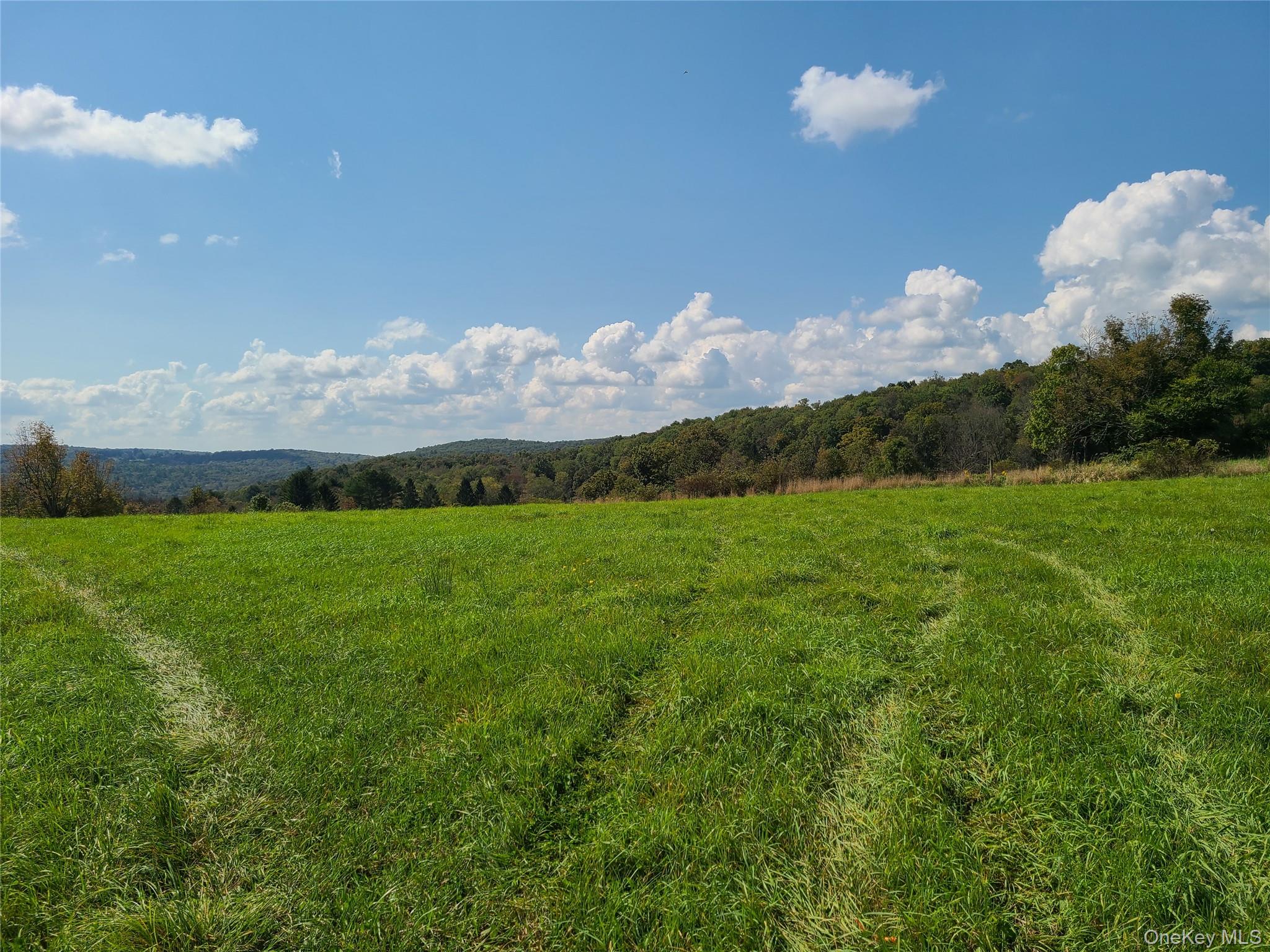 356 Gabel Road Property Photo 15