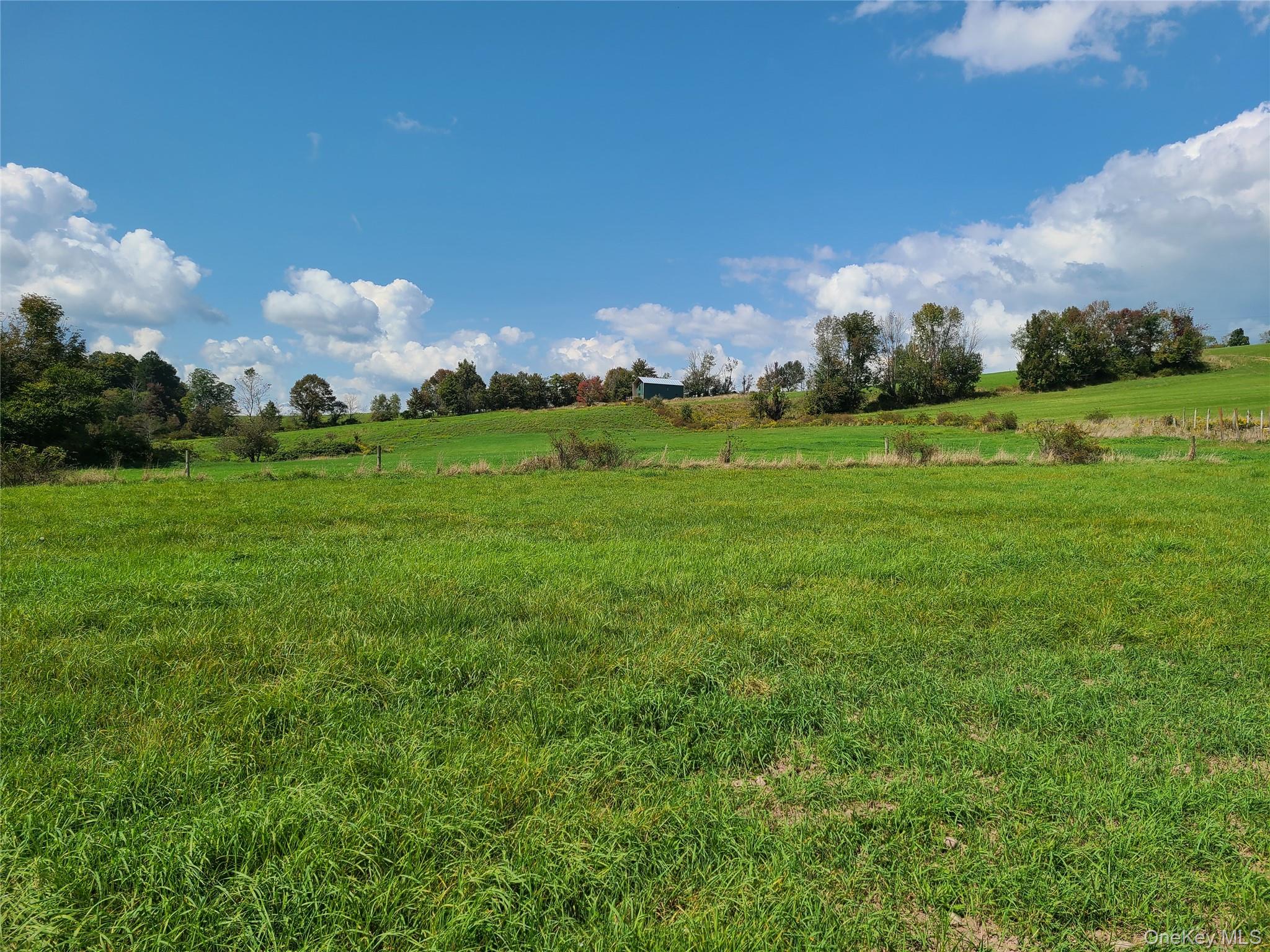 356 Gabel Road Property Photo 16