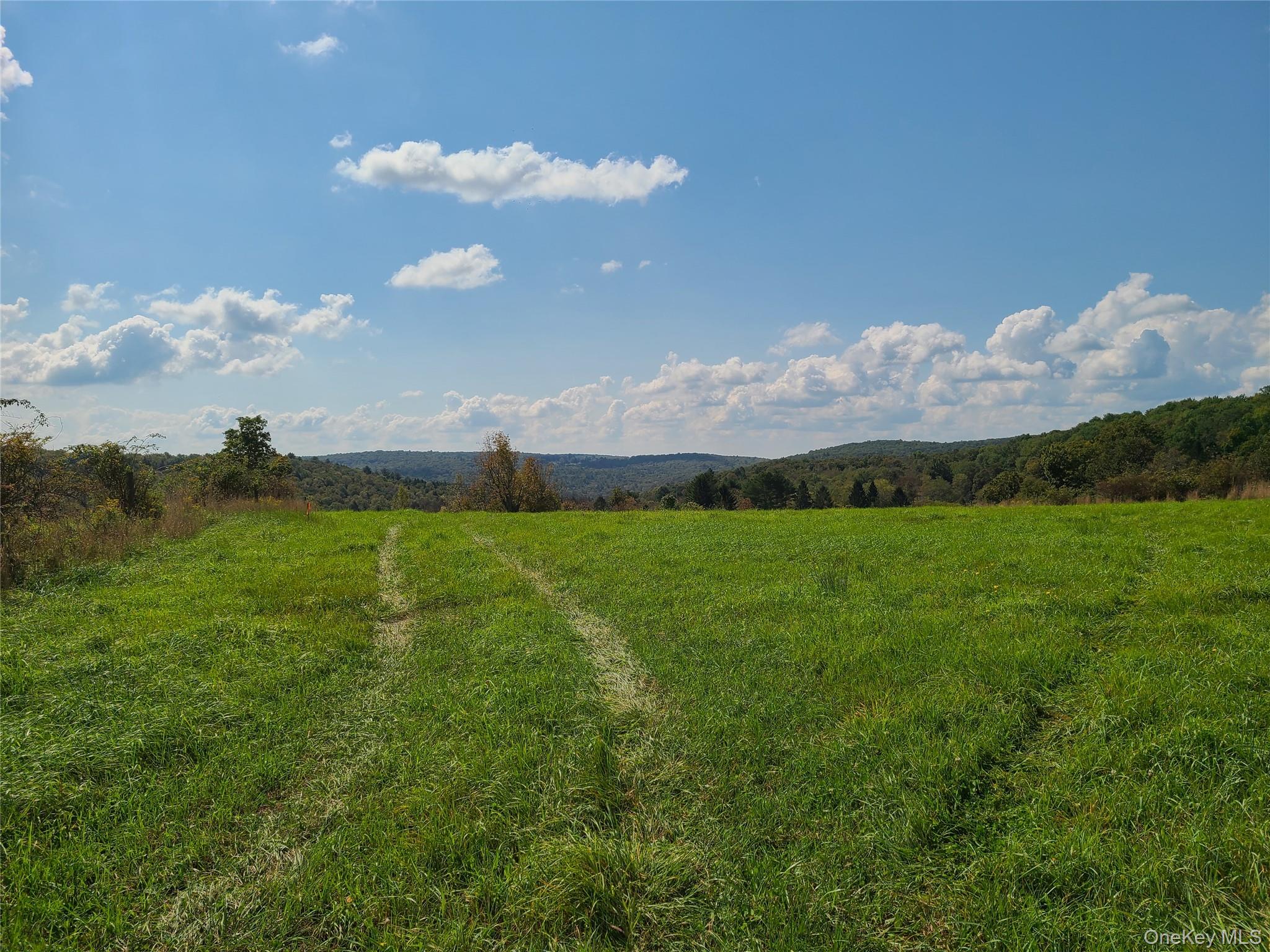 356 Gabel Road Property Photo 20