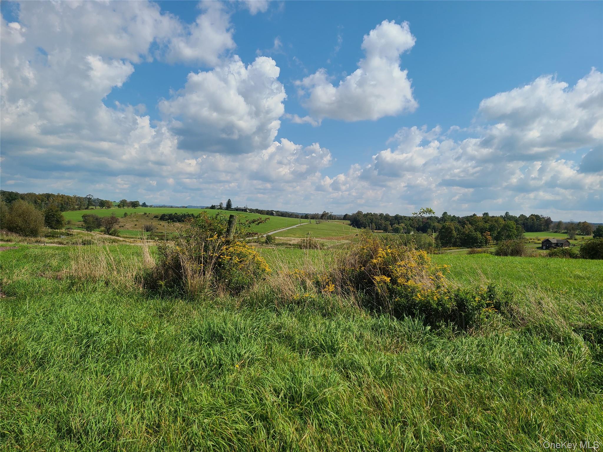 356 Gabel Road Property Photo 21