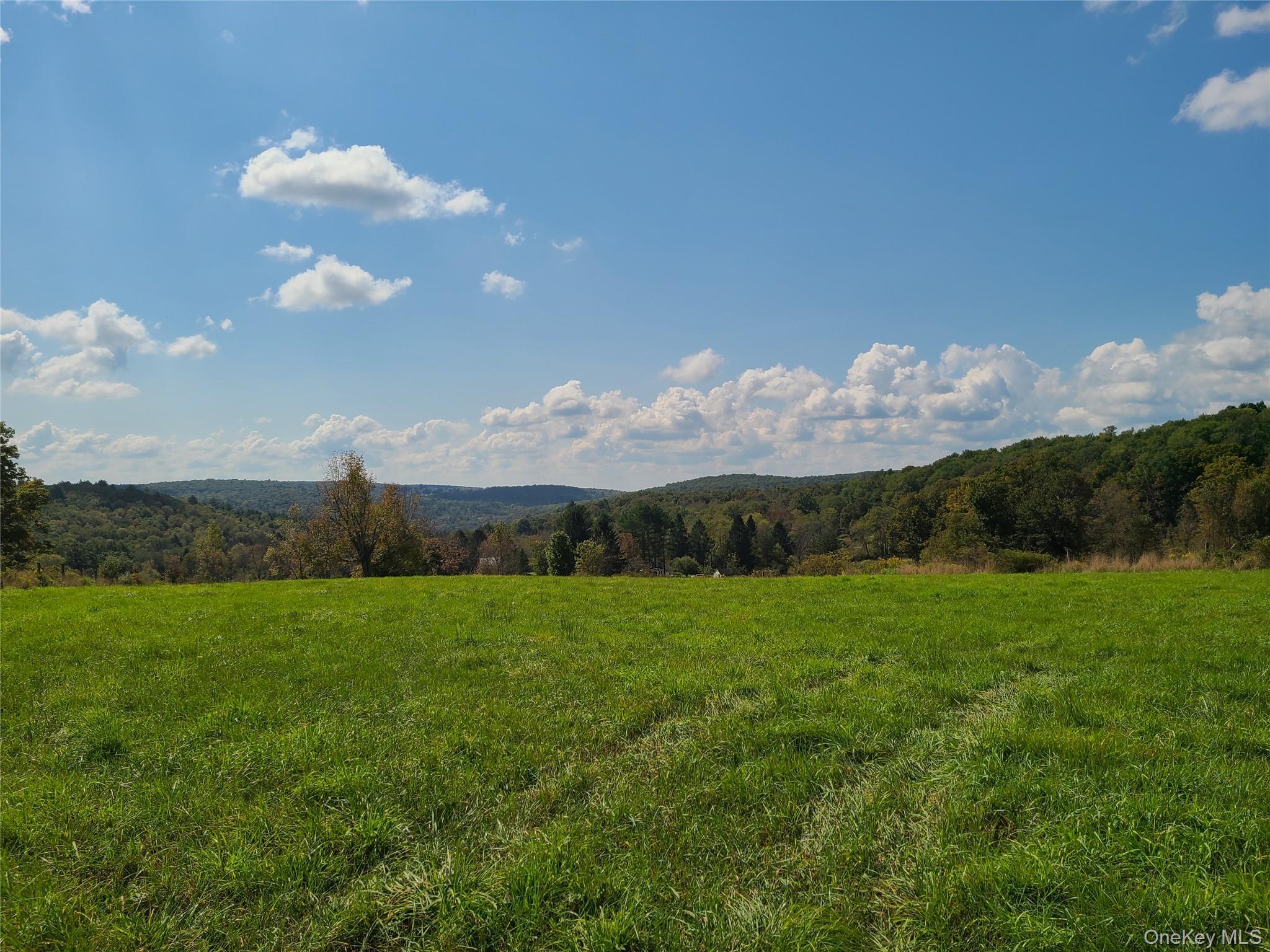 356 Gabel Road Property Photo 22