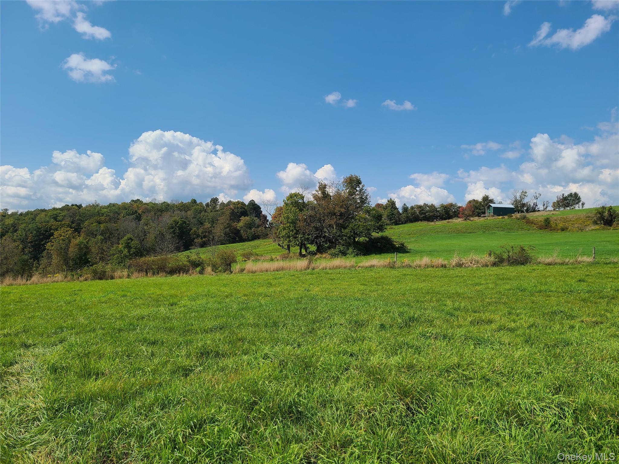 356 Gabel Road Property Photo 25