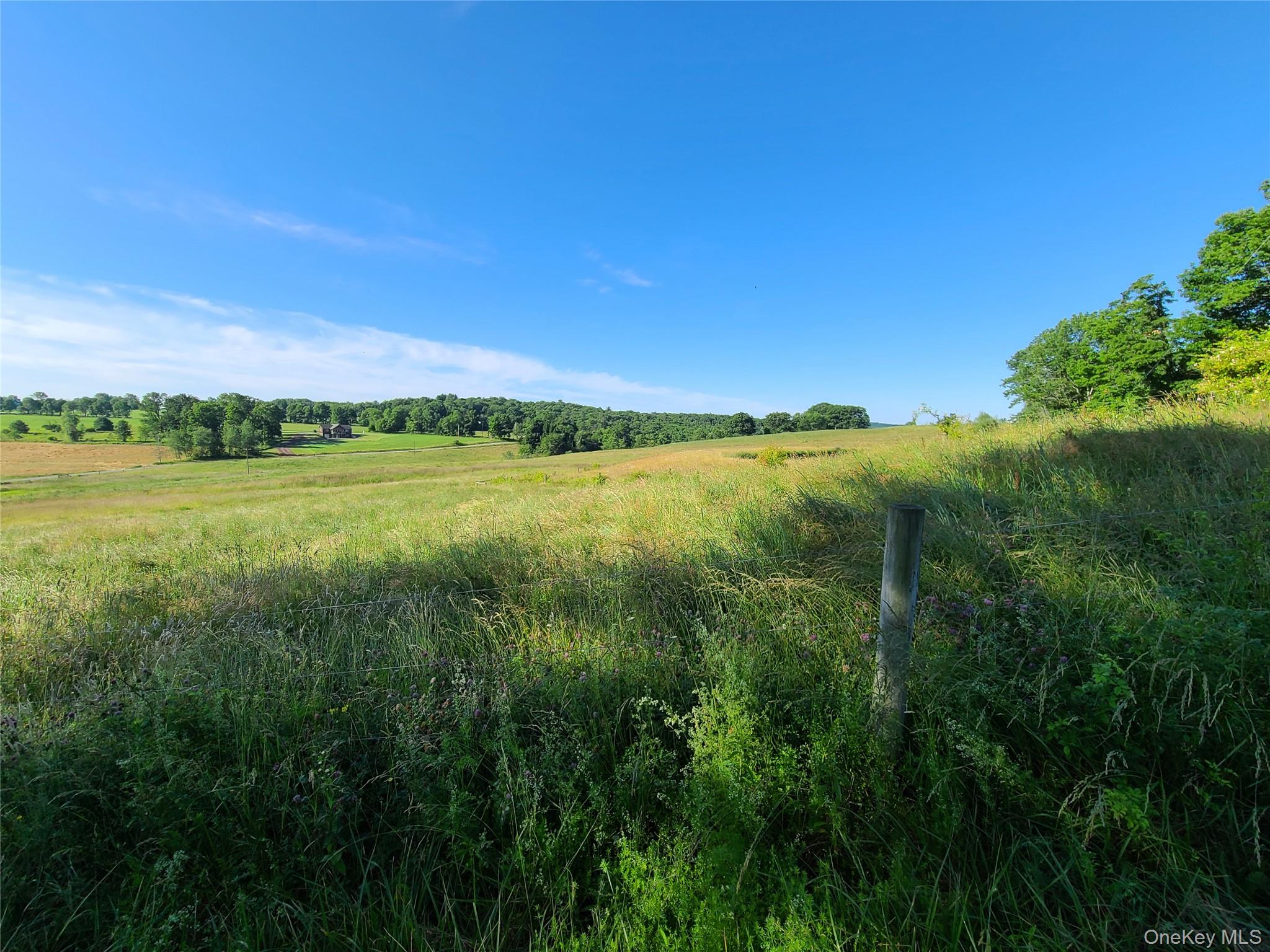 356 Gabel Road Property Photo 28
