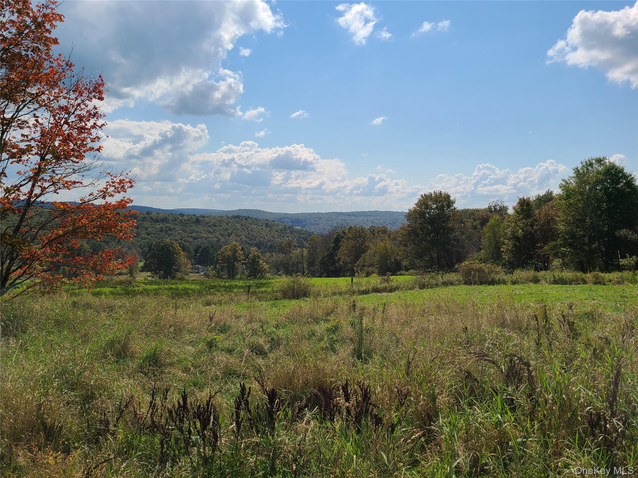 356 Gabel Road Property Photo 42