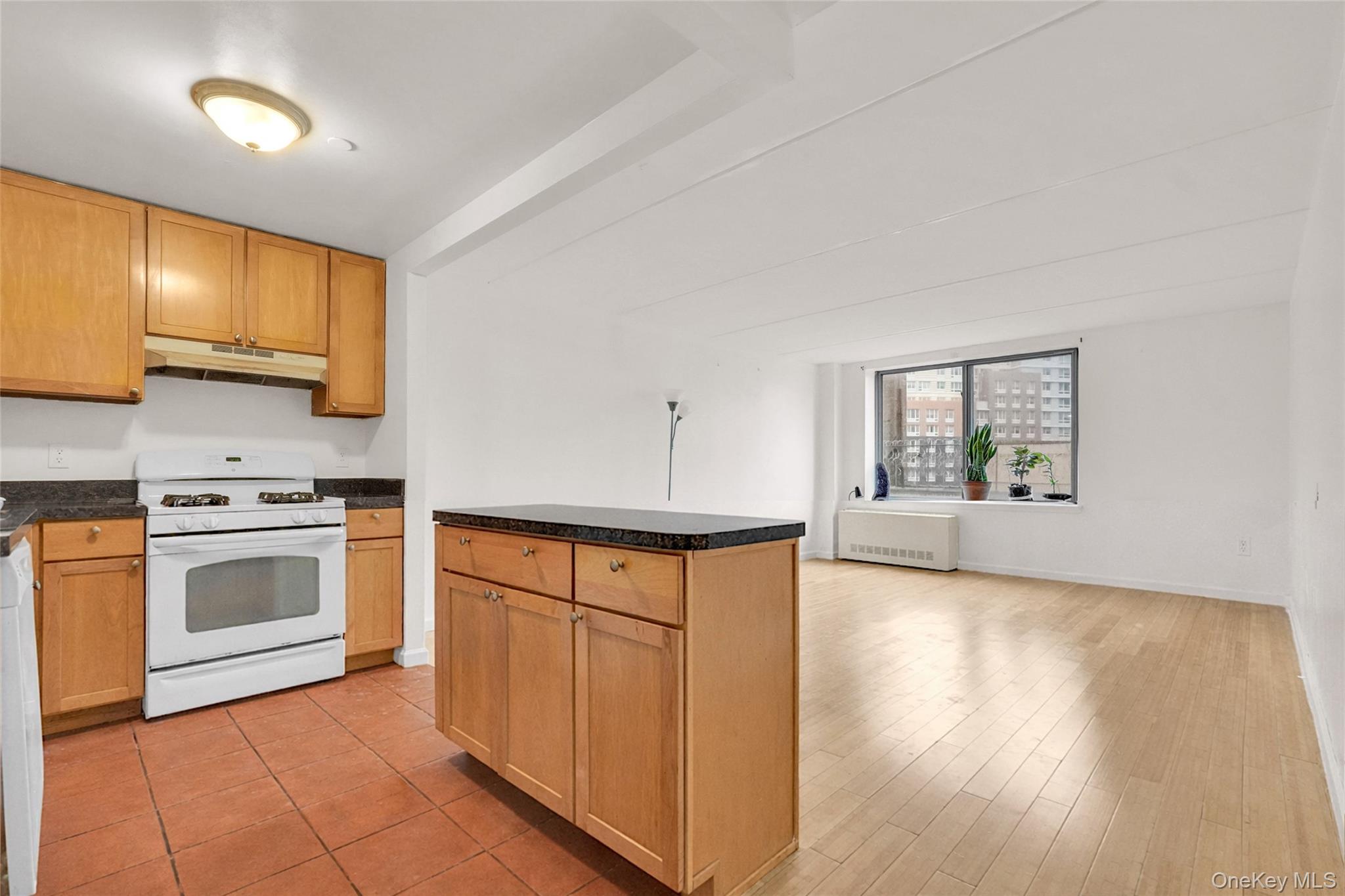 837 Washington Avenue 4b Property Photo 4
