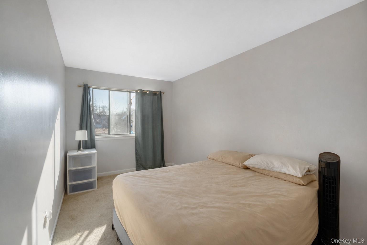 327a Mersereau Avenue Property Photo 7