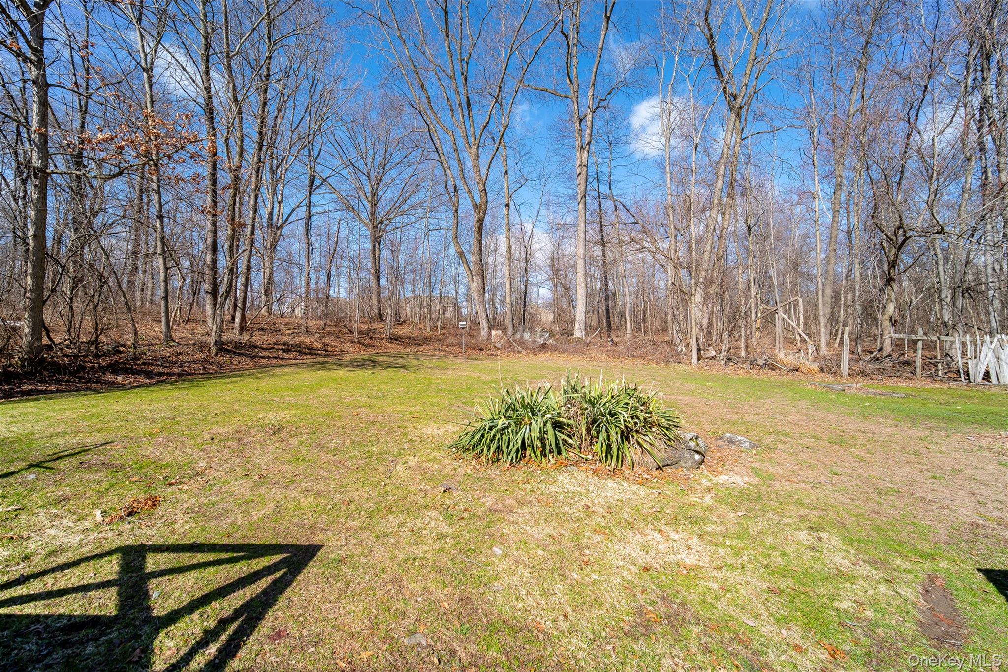 166 Brookside Farms Property Photo 4