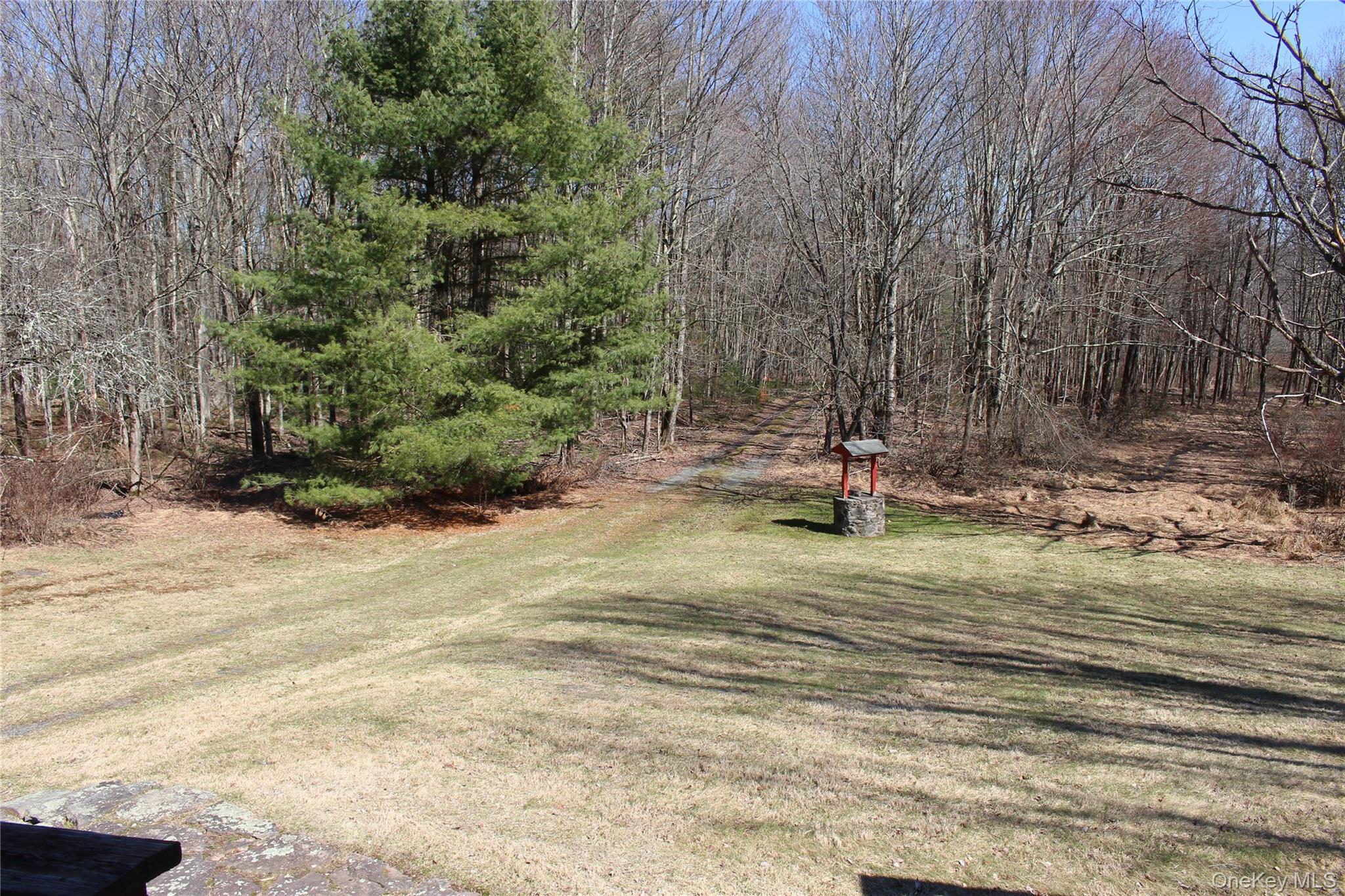 154 Britman Road Property Photo 20
