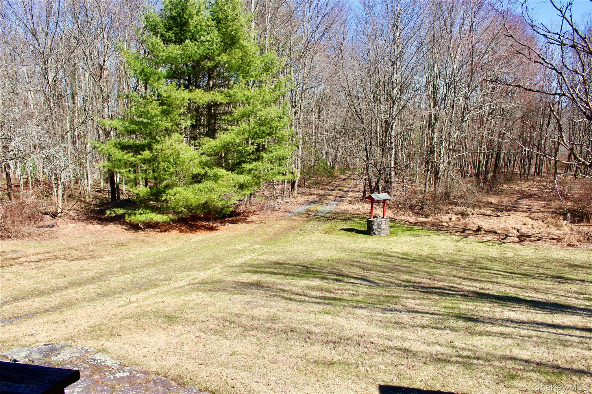 154 Britman Road Property Photo 39
