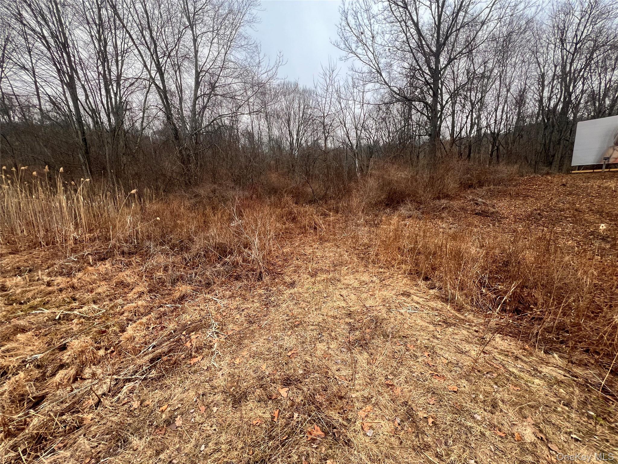 2413 Route 44 Property Photo 9