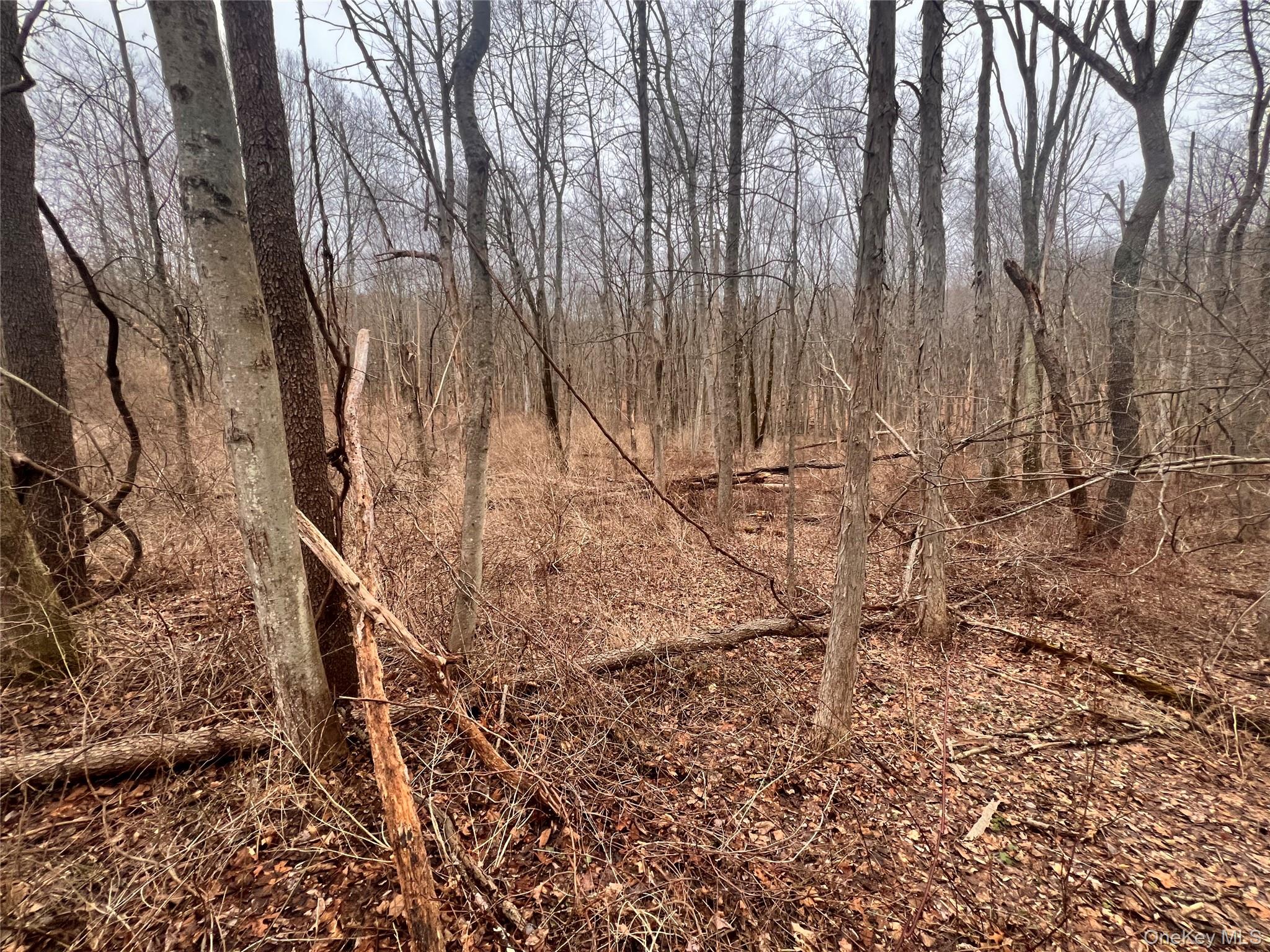 2413 Route 44 Property Photo 10