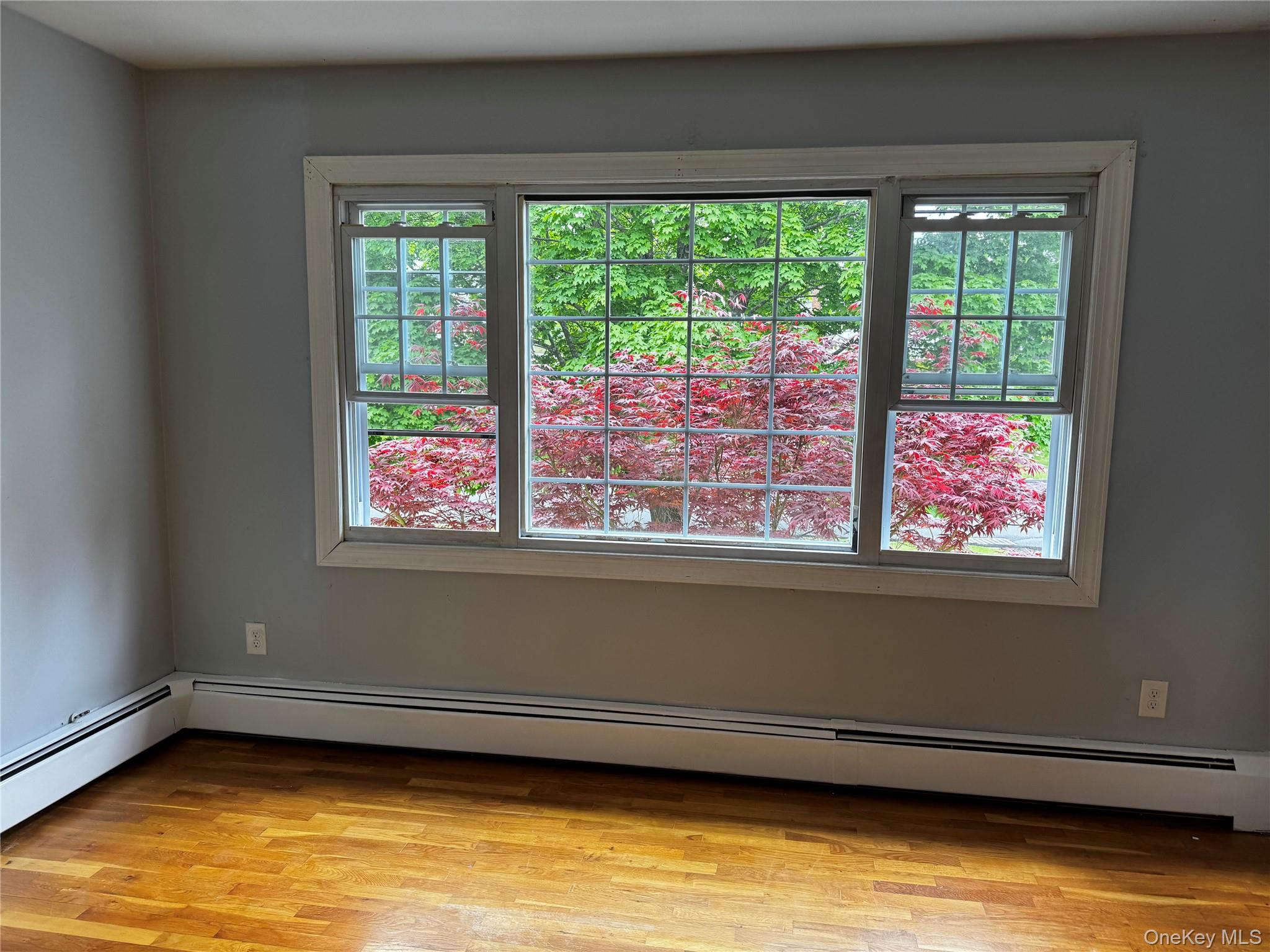23 Frederick Street Property Photo 9