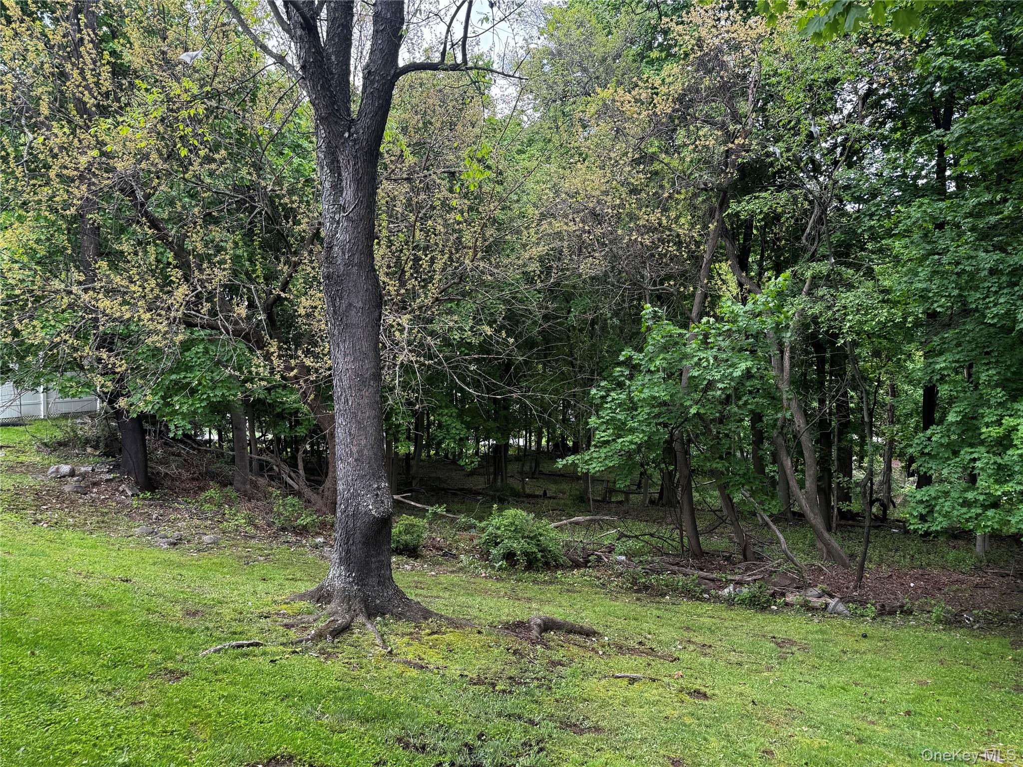 23 Frederick Street Property Photo 11