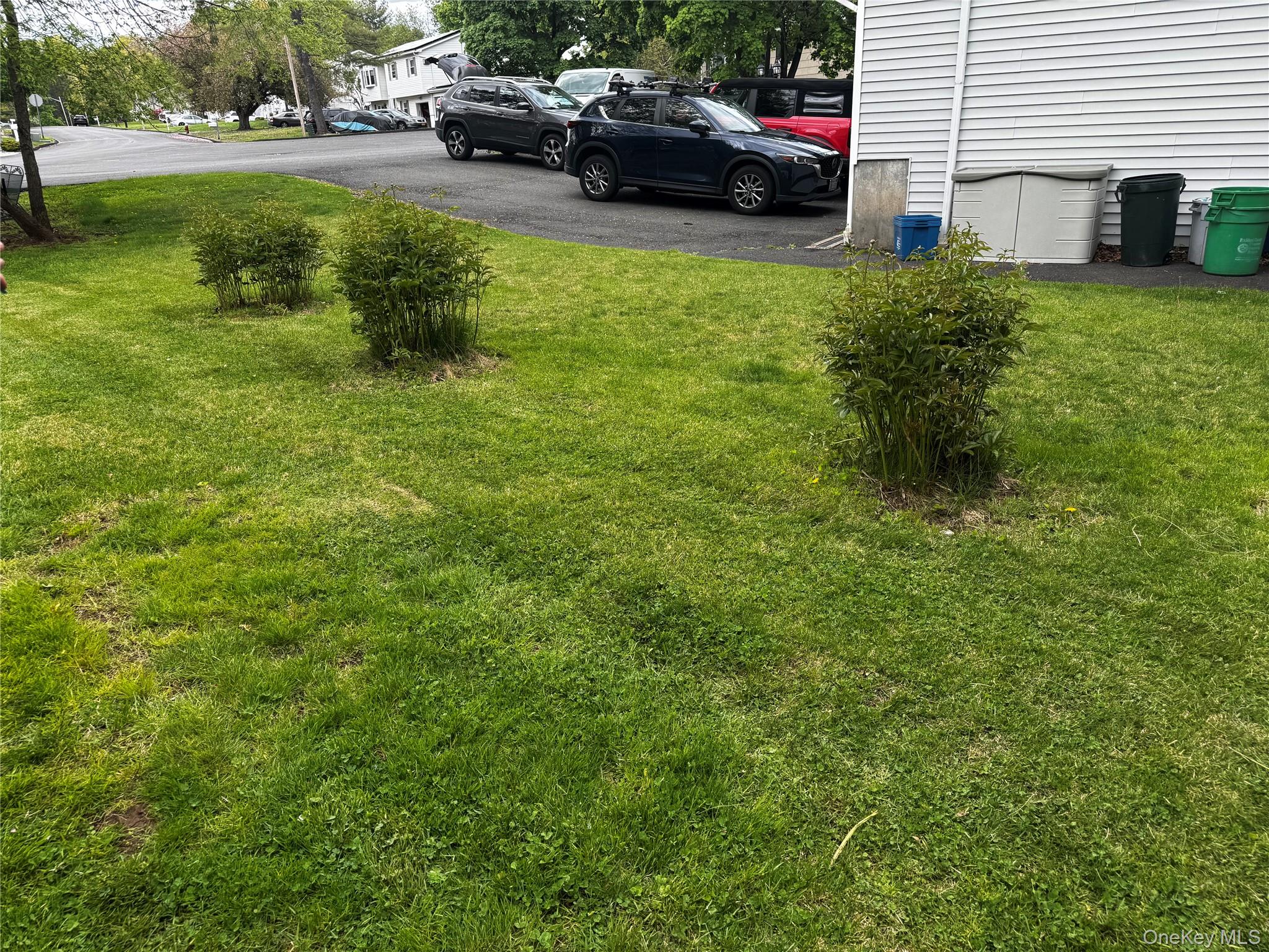 23 Frederick Street Property Photo 13
