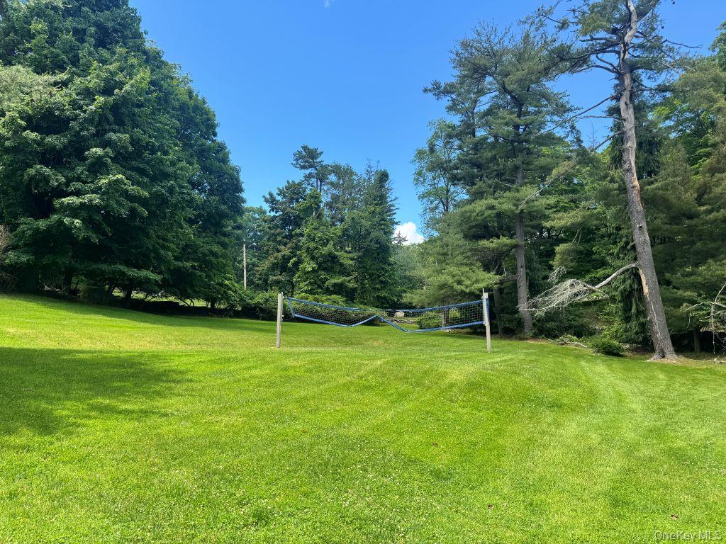 255 Mountain Road Property Photo 3
