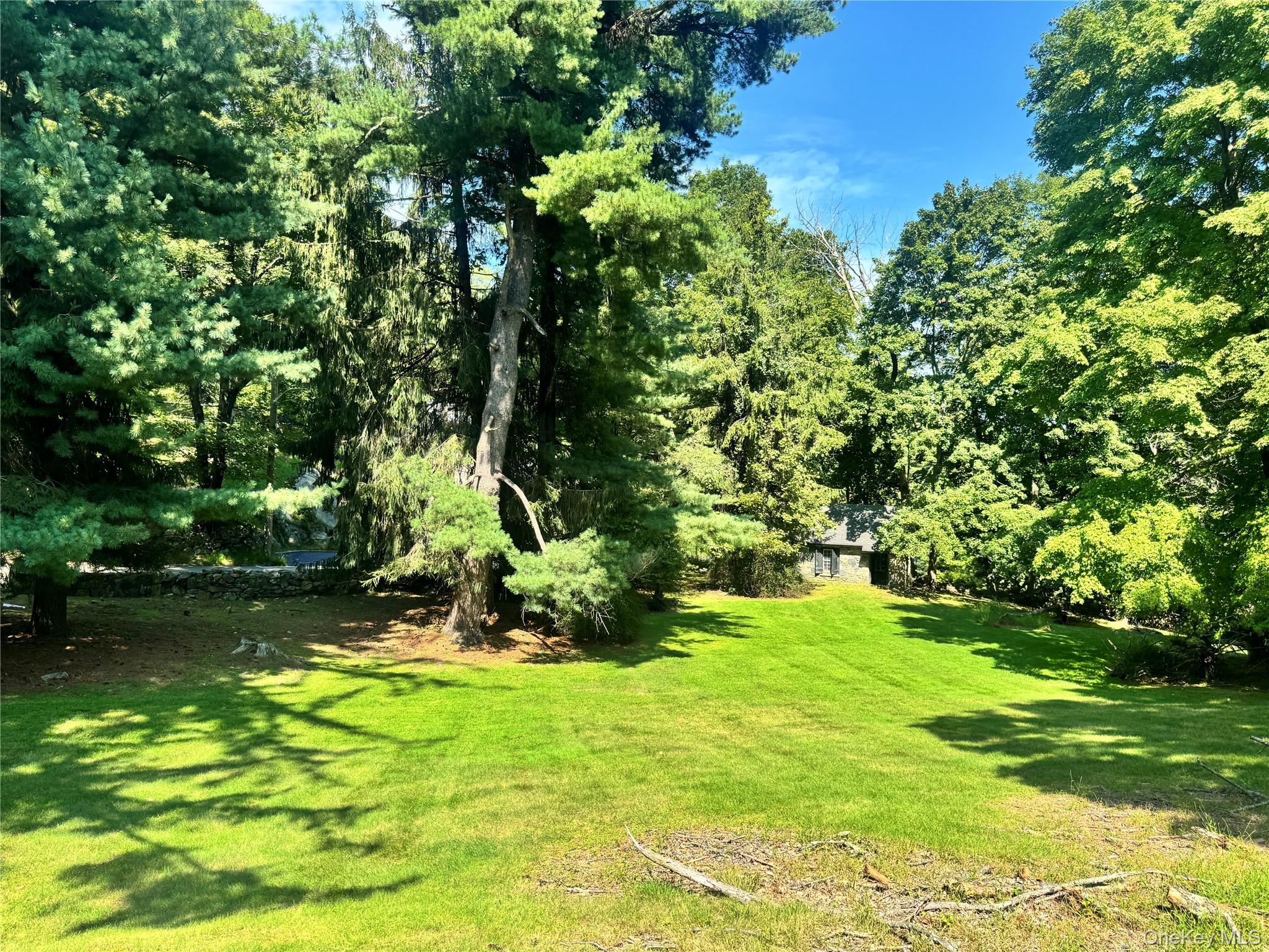 255 Mountain Road Property Photo 8