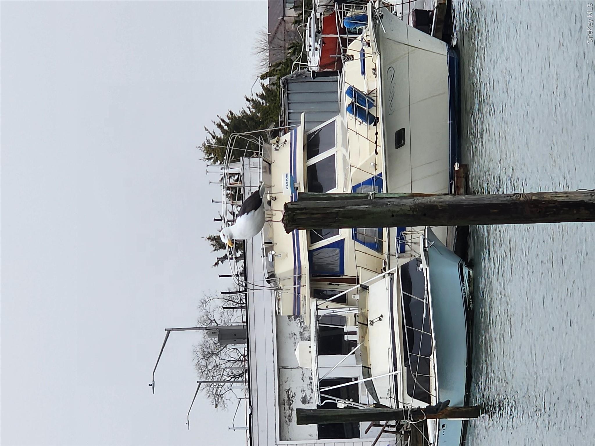 377 Woodcleft Avenue Property Photo 4