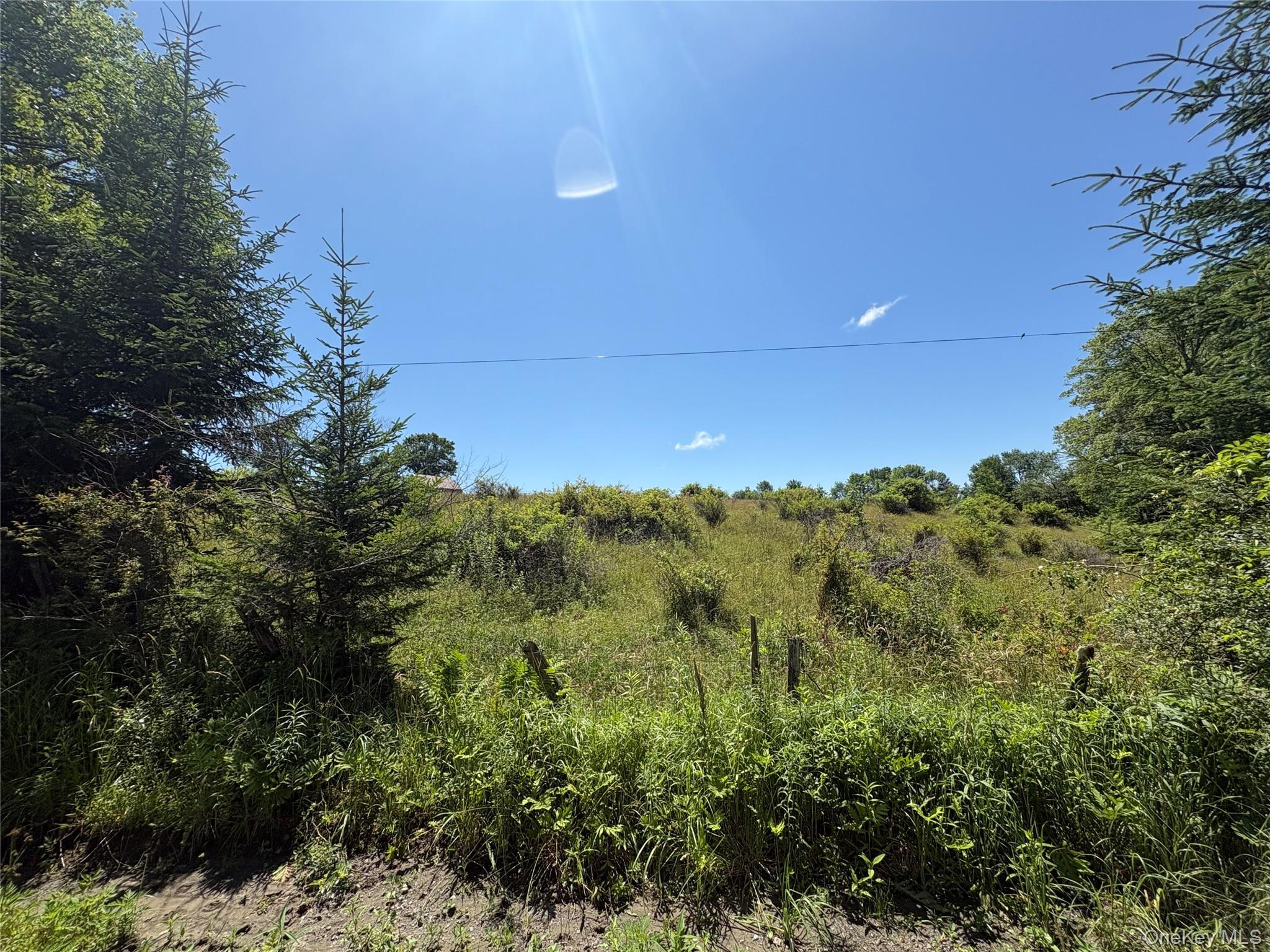 14 Frelich Rd/t R 28 Property Photo 11