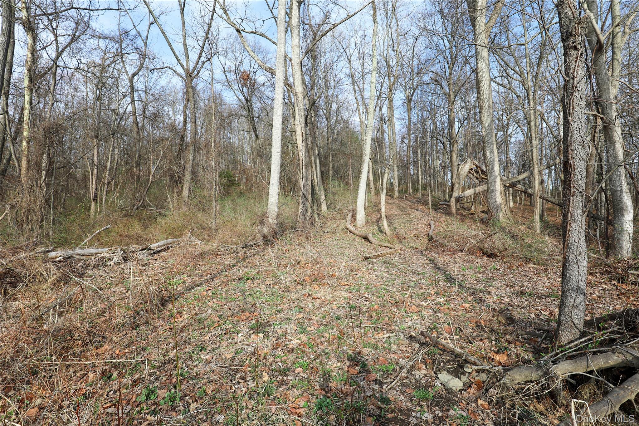 625 Broadway Property Photo 18
