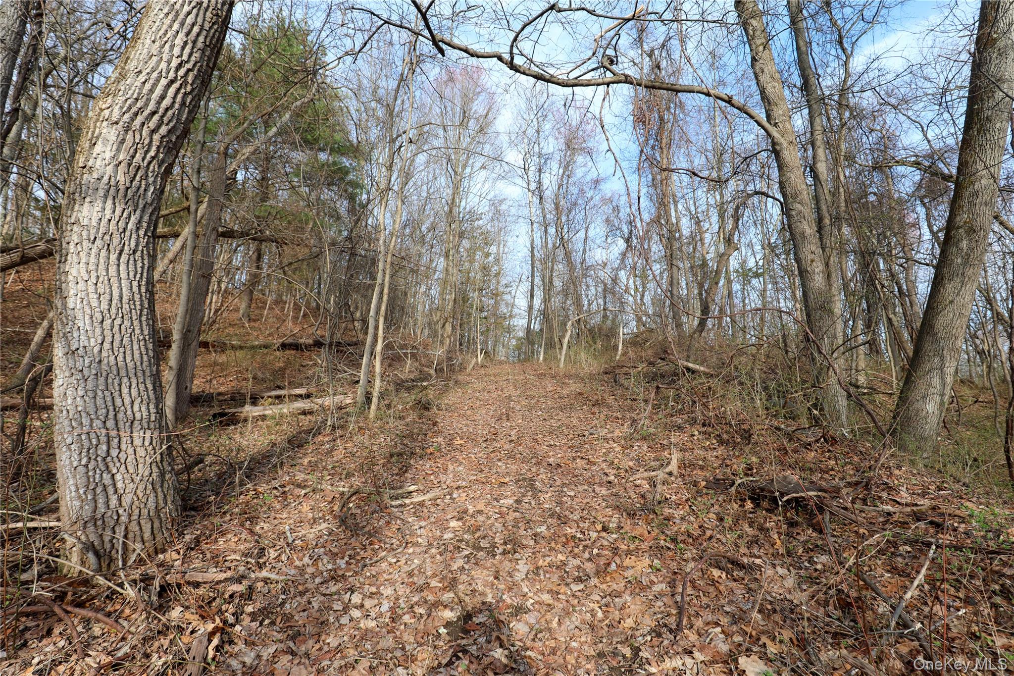 625 Broadway Property Photo 20