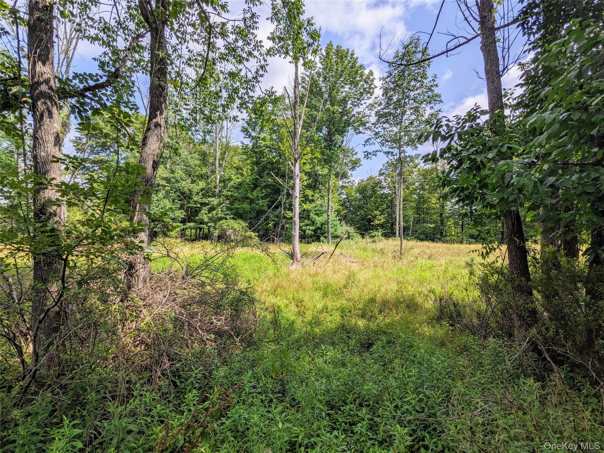 State Route 55 Property Photo 4