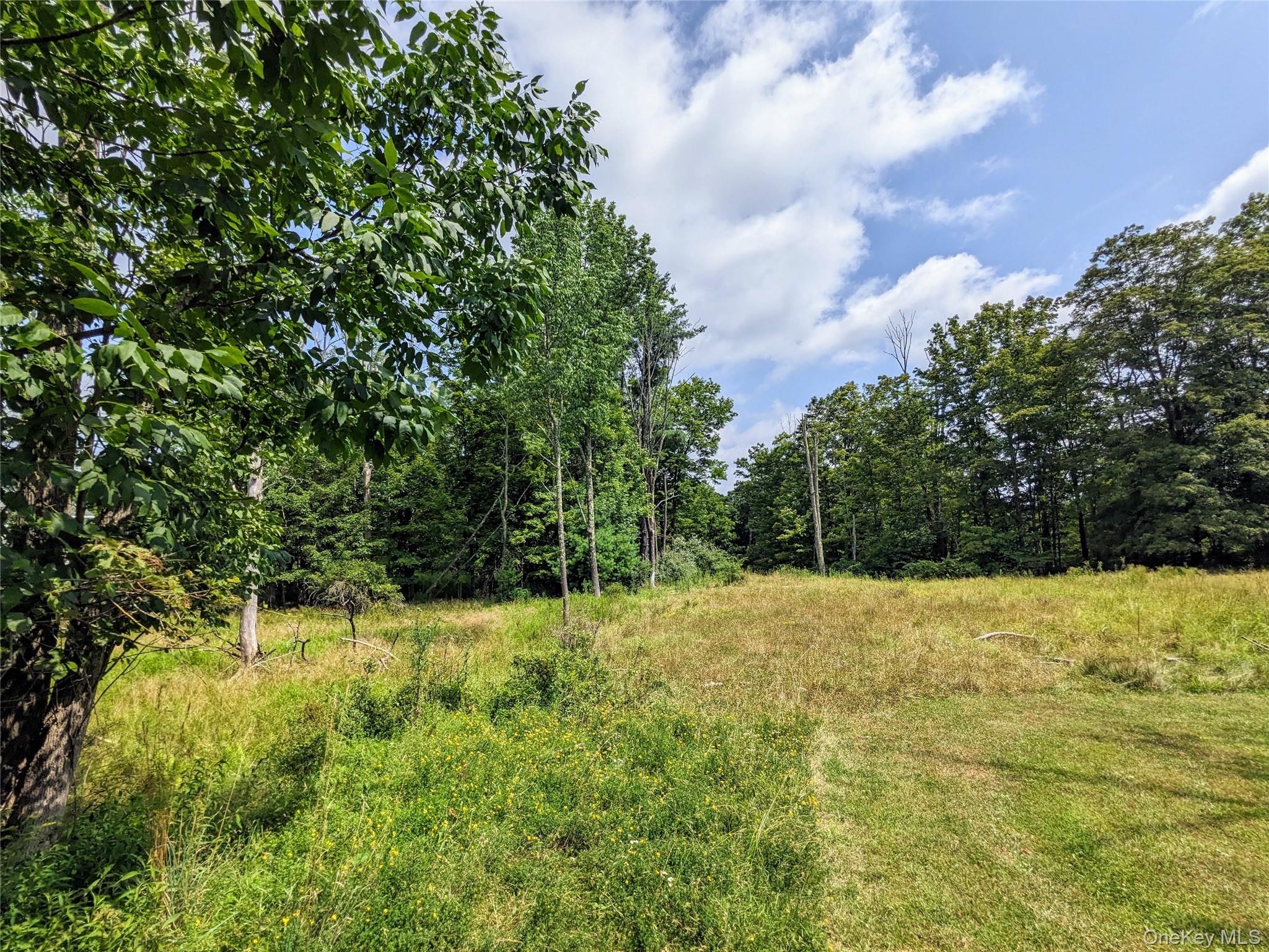 State Route 55 Property Photo 7