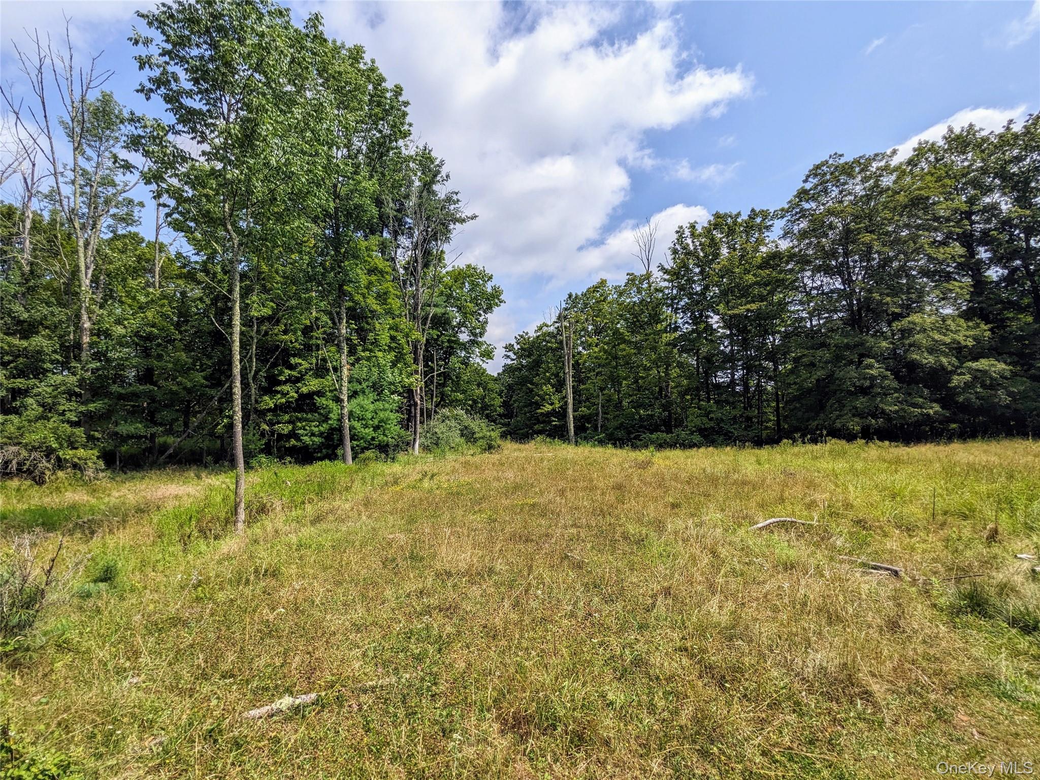 State Route 55 Property Photo 8