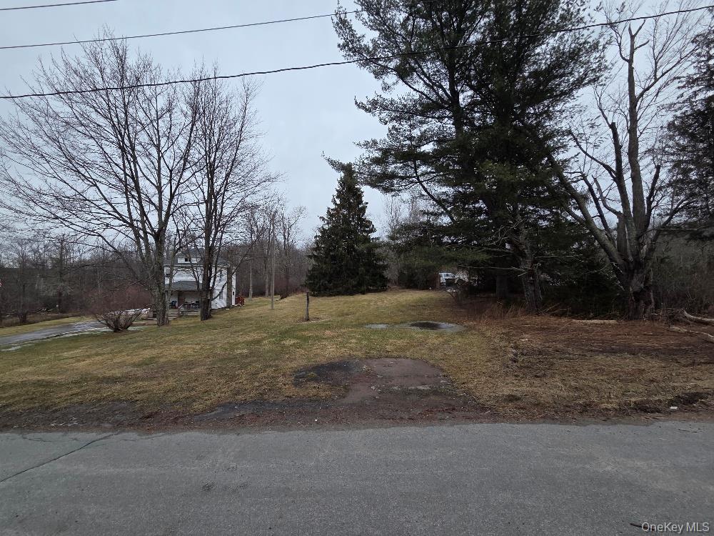 Tbd State Route 52 Property Photo 1