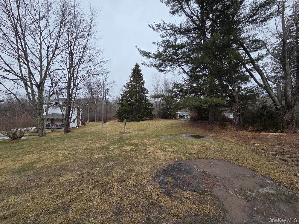 Tbd State Route 52 Property Photo 2