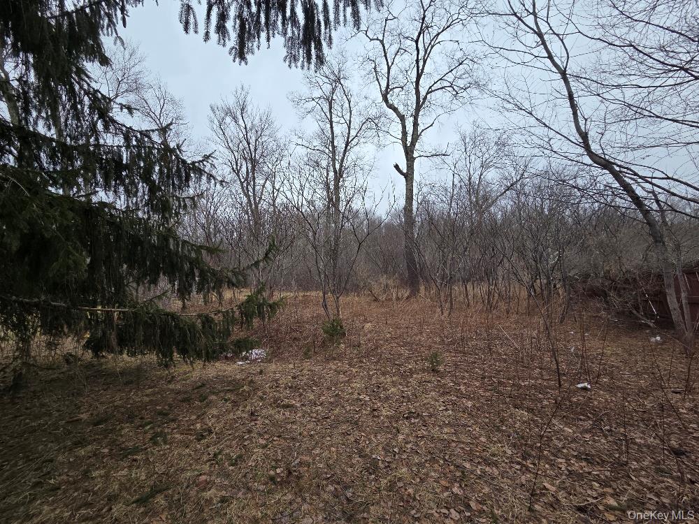 Tbd State Route 52 Property Photo 4