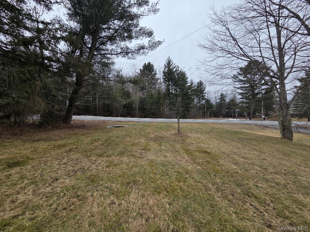 Tbd State Route 52 Property Photo 5