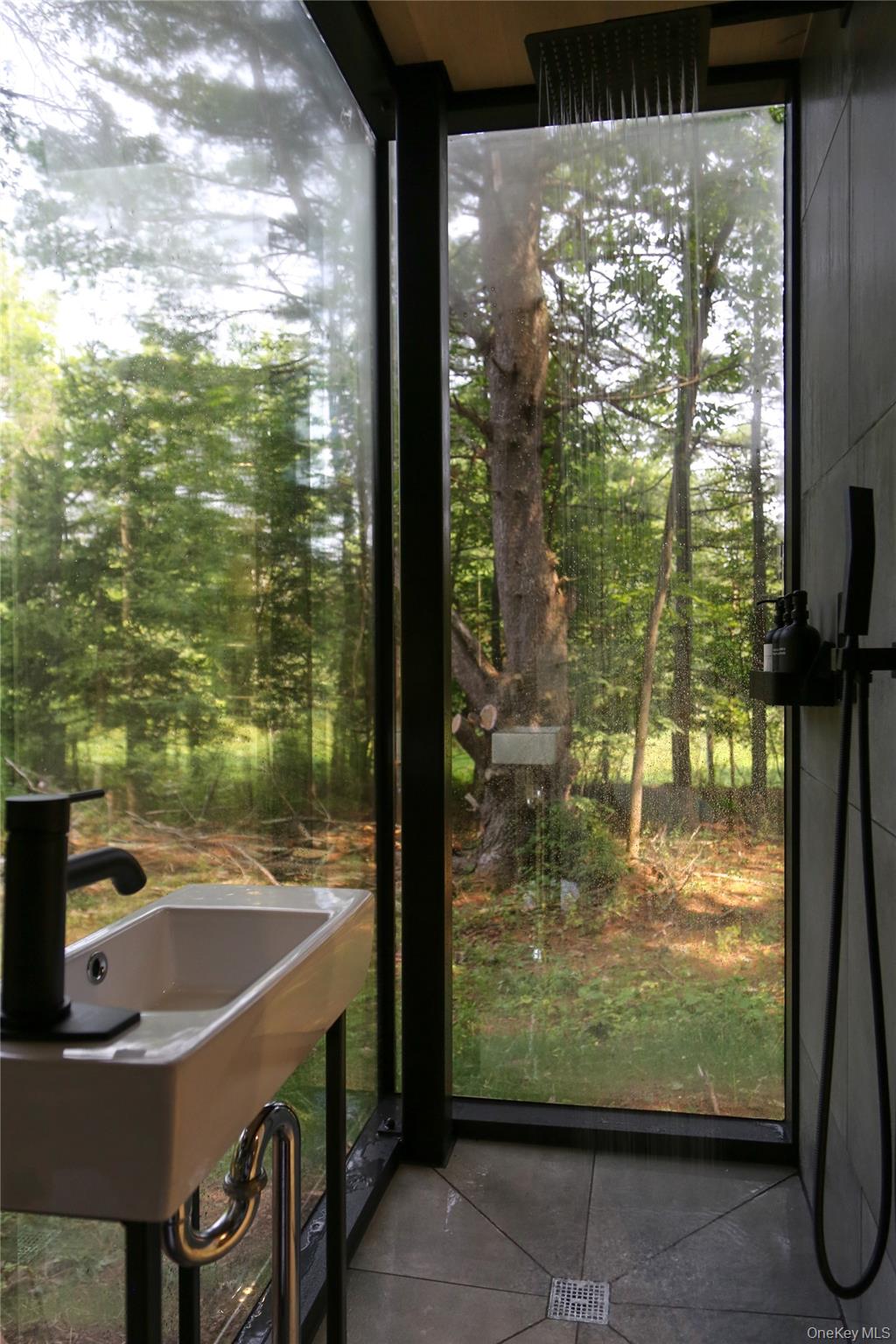226 State Route 296 Property Photo 5