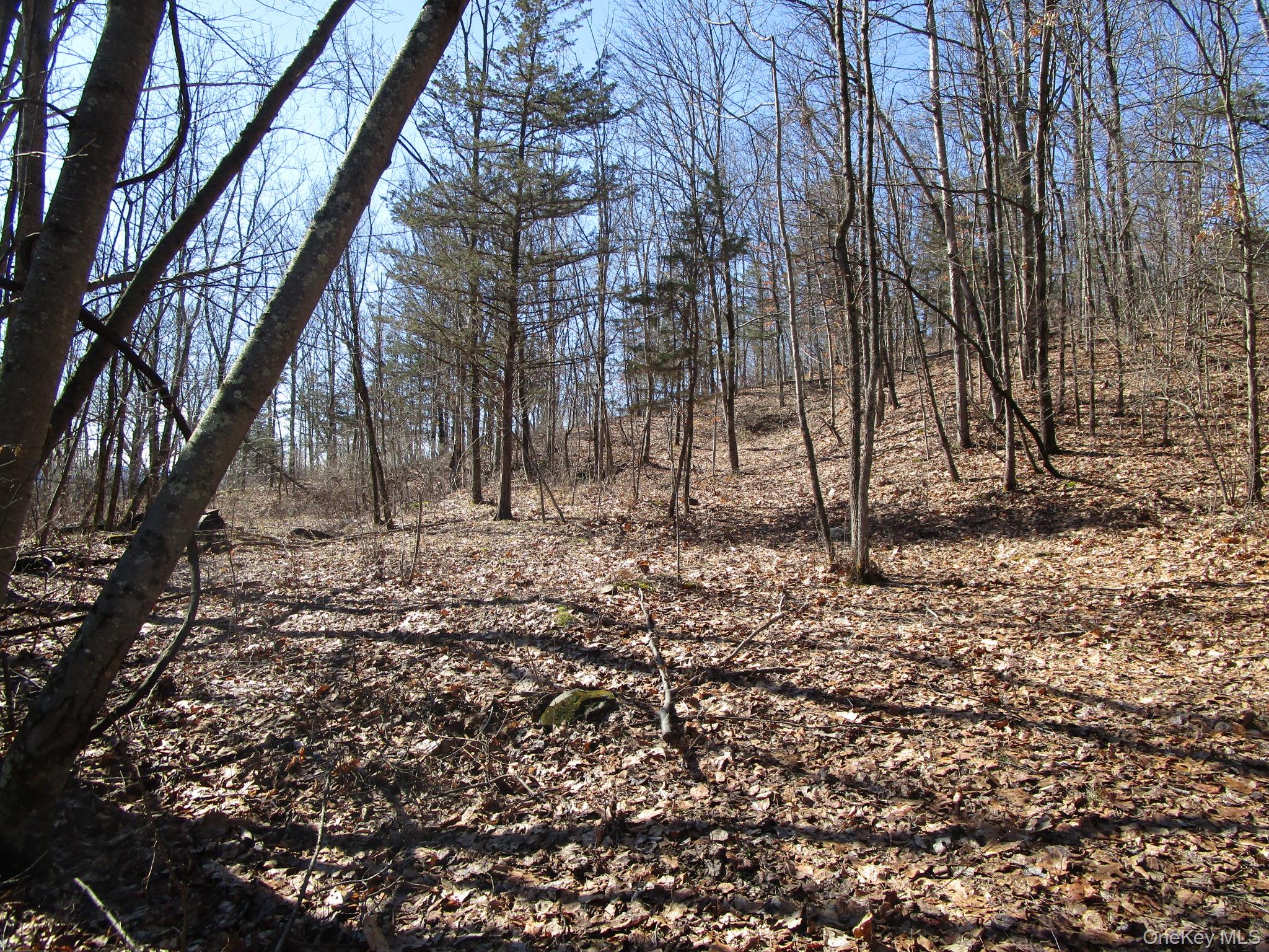 Co Rt 12 Property Photo 4