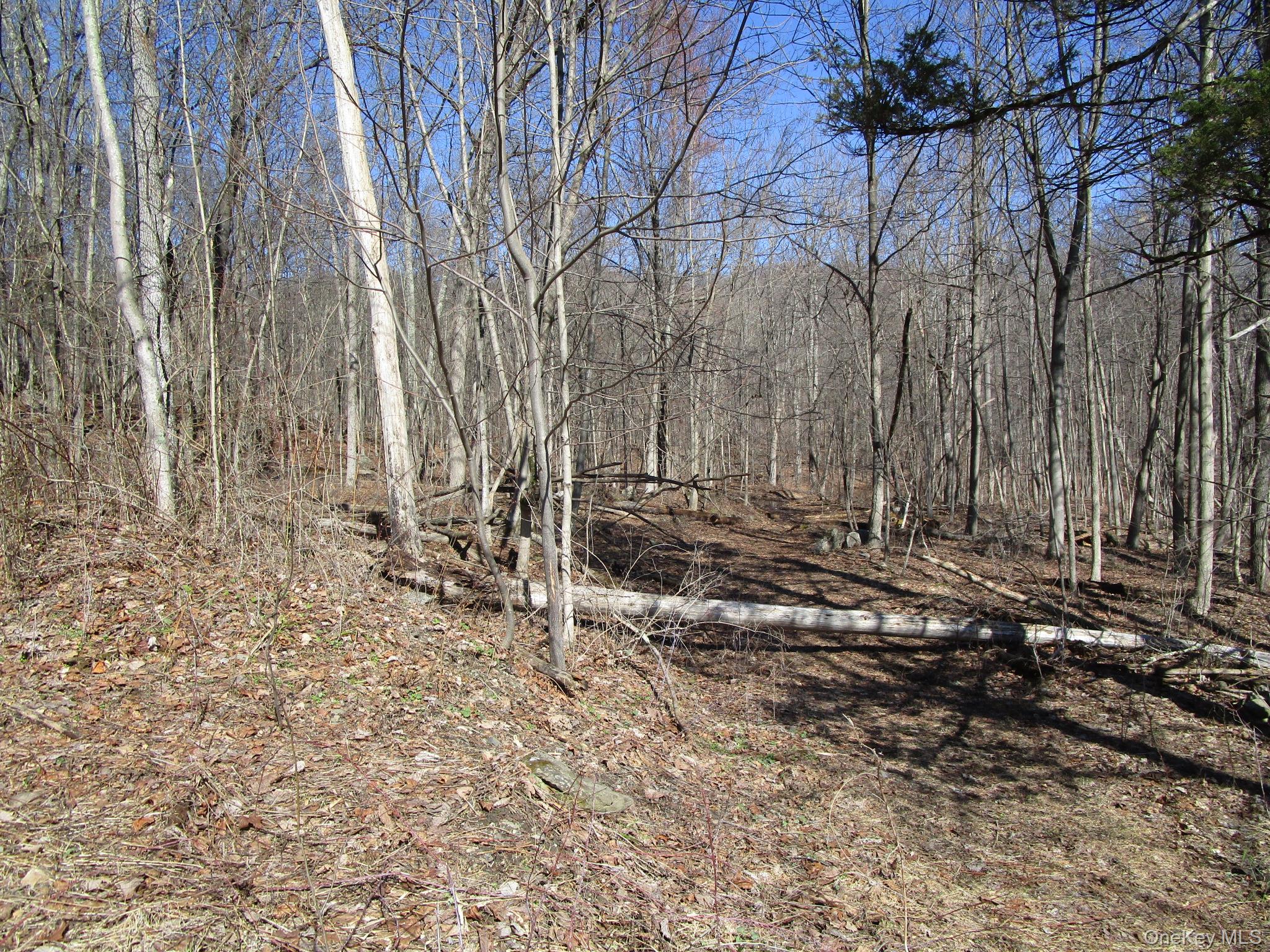 Co Rt 12 Property Photo 5