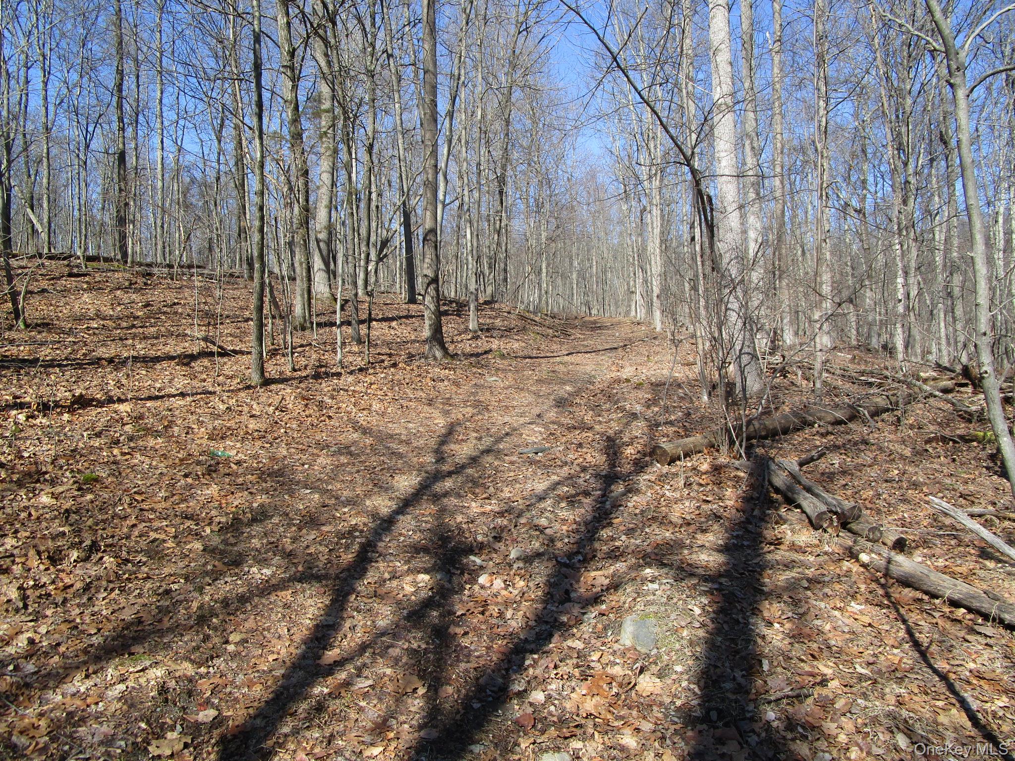 Co Rt 12 Property Photo 6
