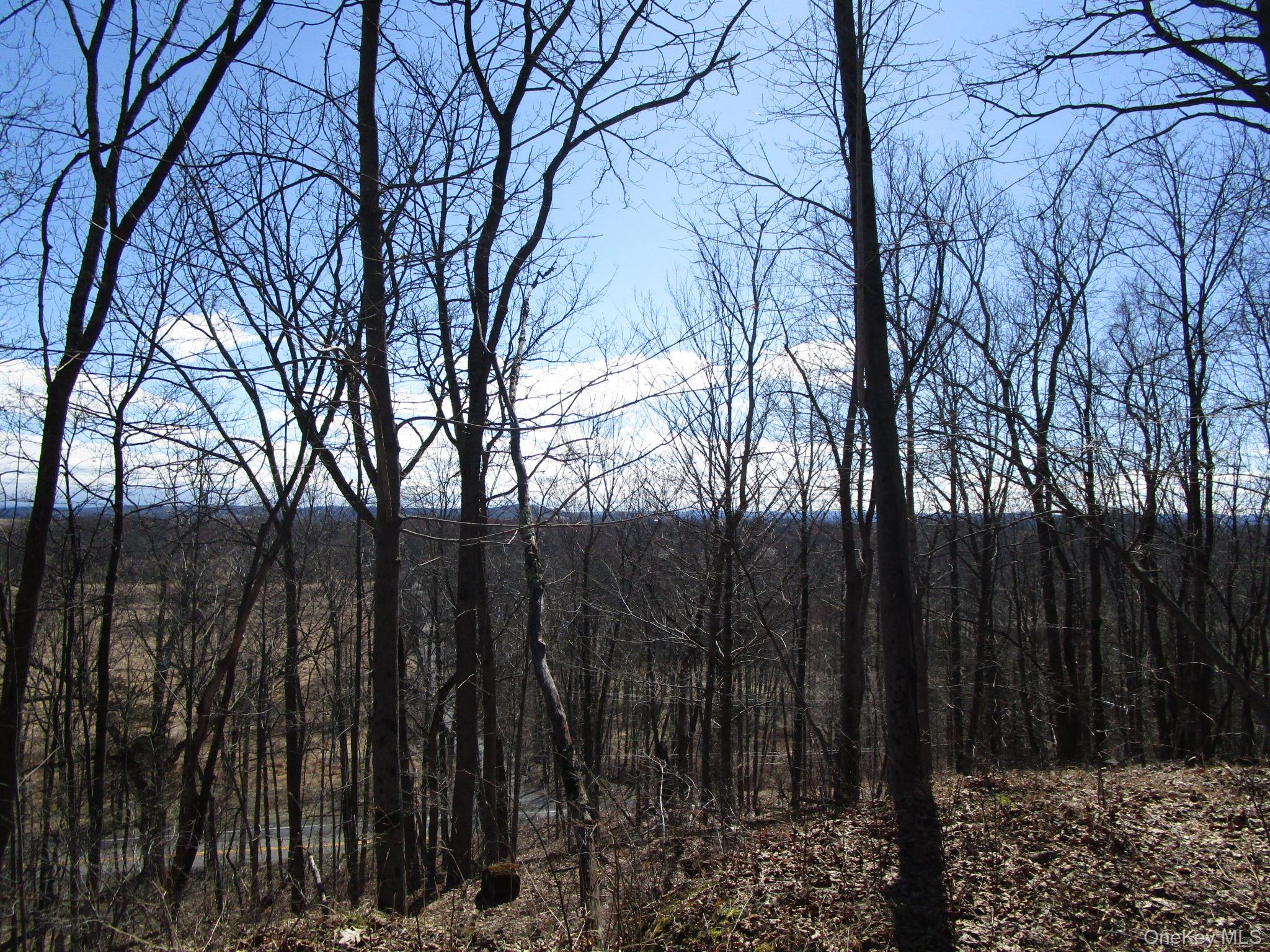 Co Rt 12 Property Photo 8