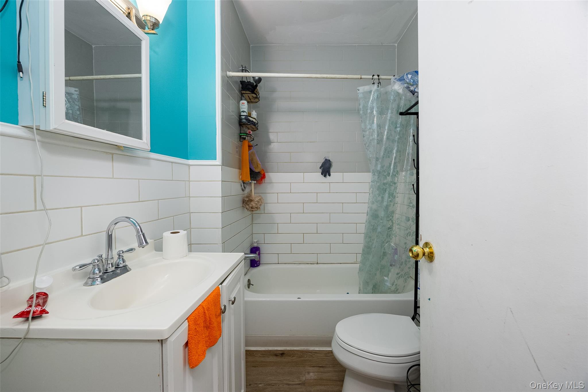 42 Manitou Avenue Property Photo 21