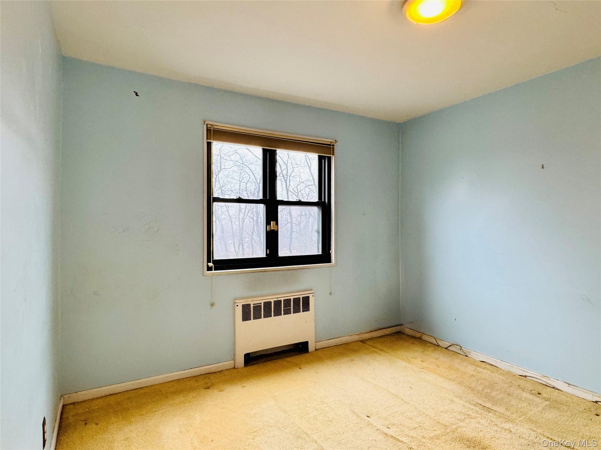 57-41 246th Crescent Lower Property Photo 11