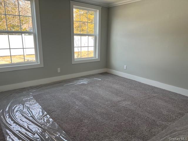 159 Alexander Avenue Property Photo 18