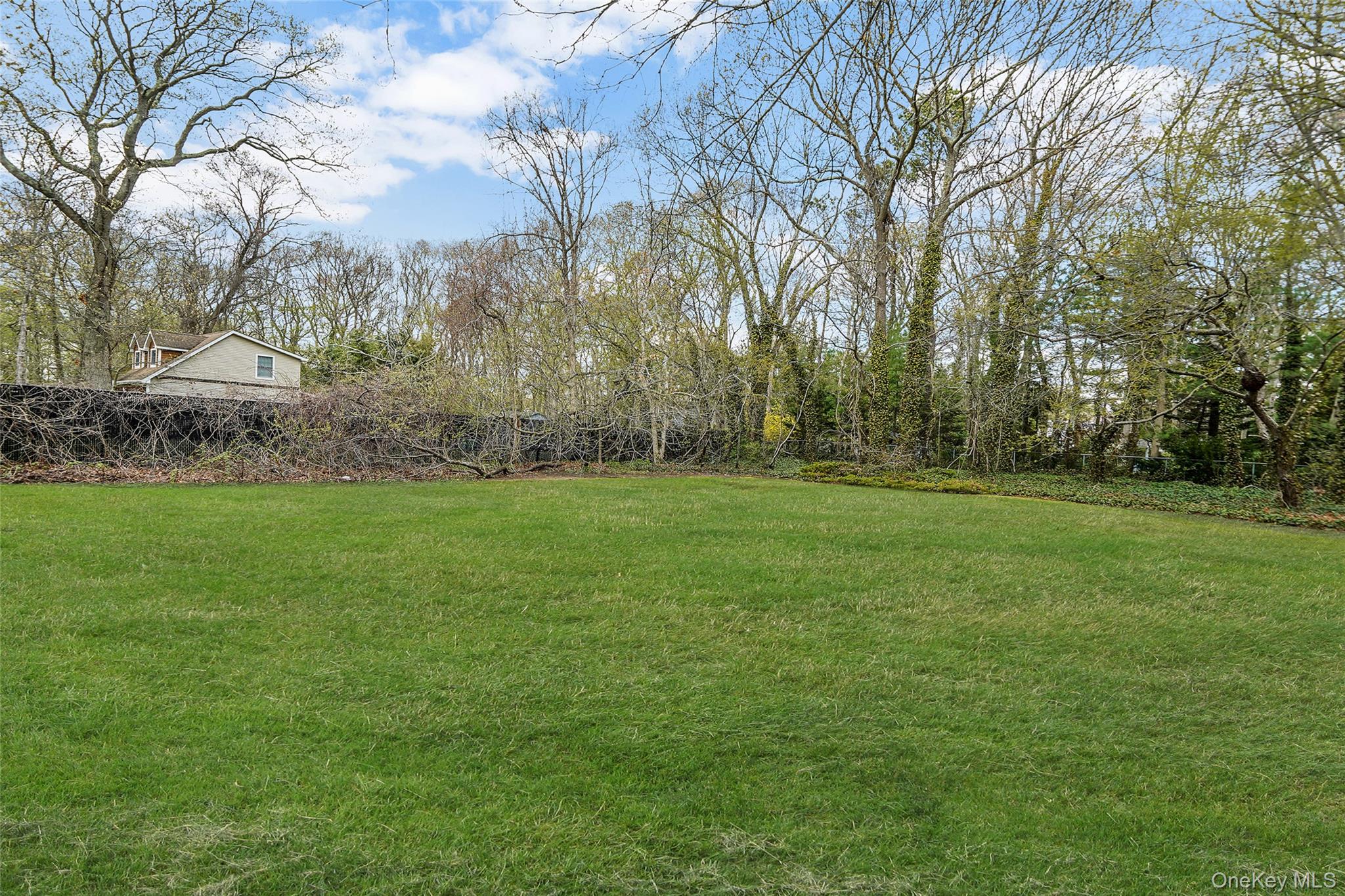 61 Park Avenue Property Photo 46