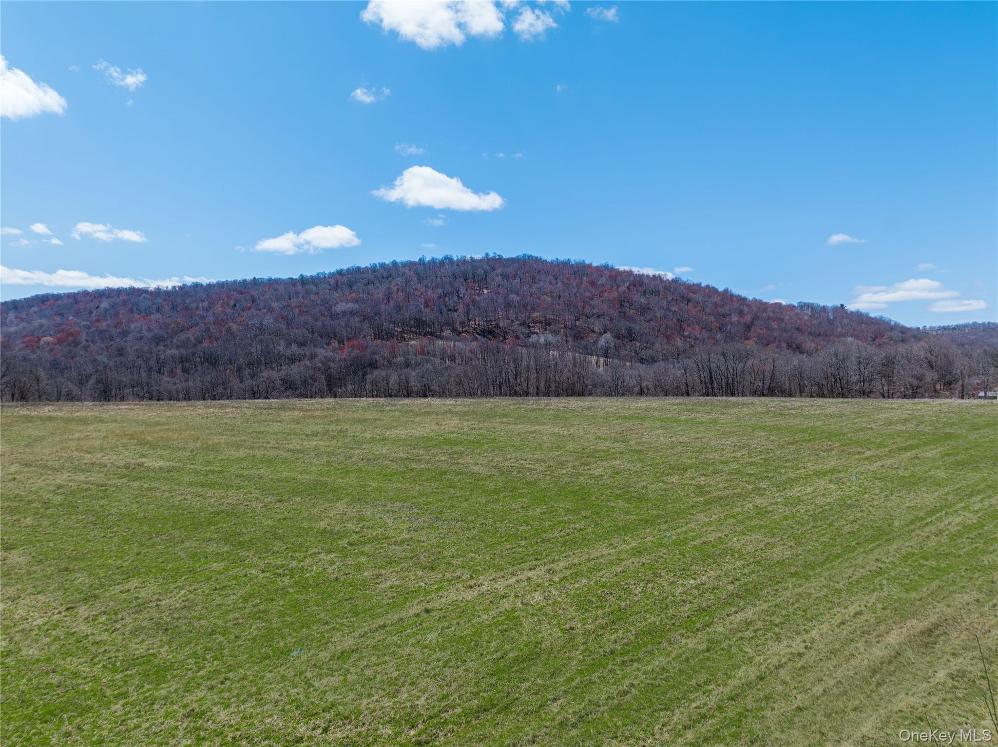 Lot # 8 Mcghee Hill Road Property Photo 1