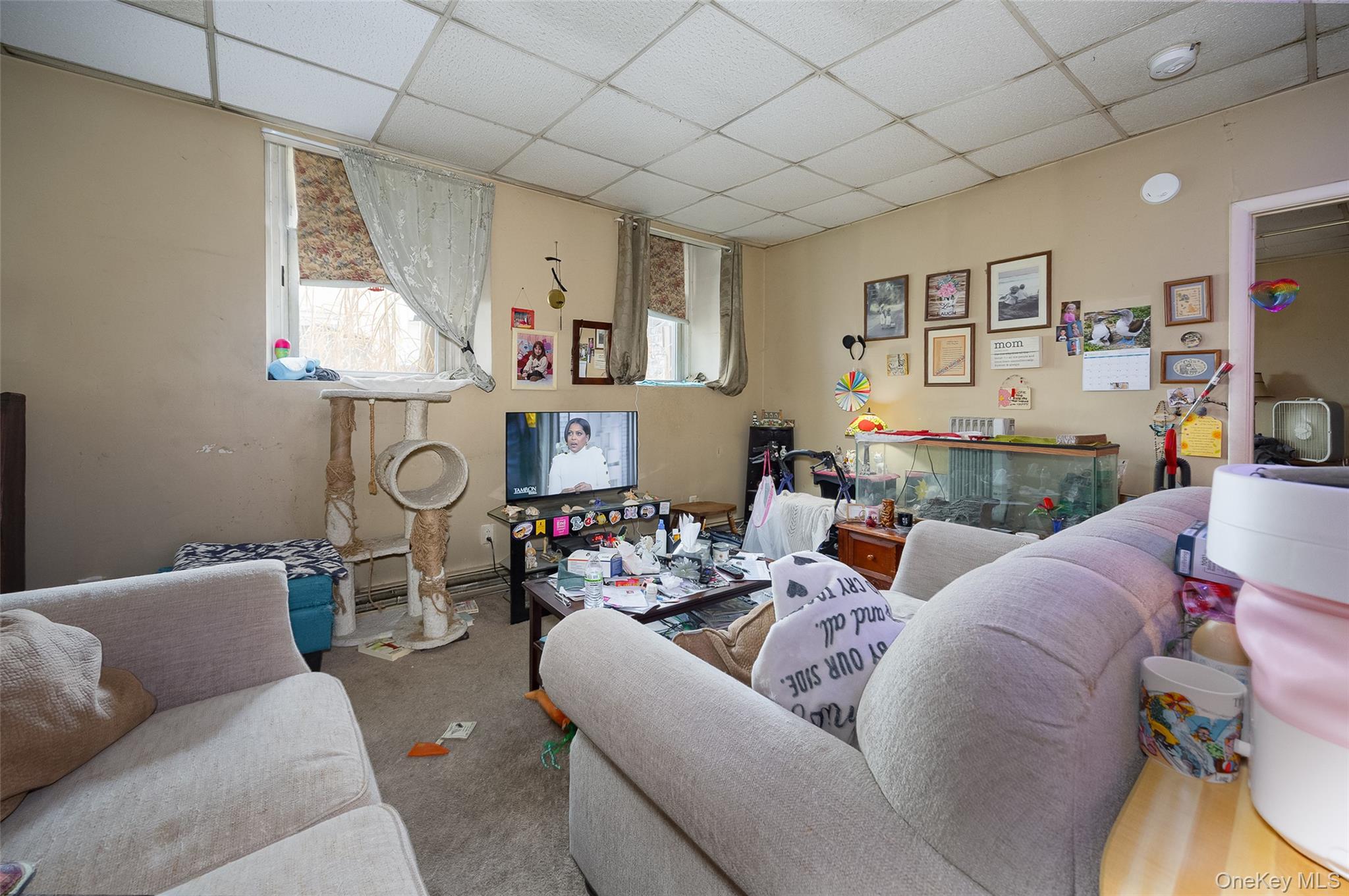 81 Vineyard Avenue Property Photo 27