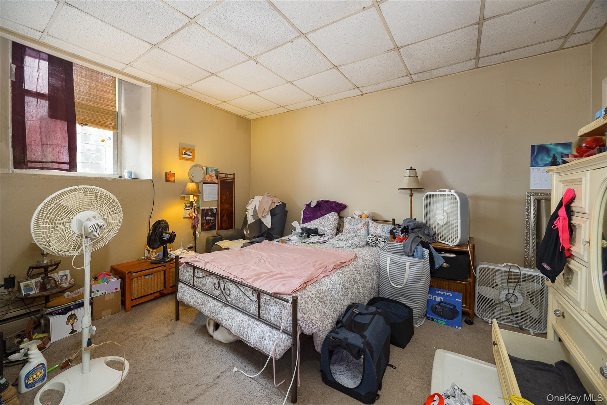 81 Vineyard Avenue Property Photo 29