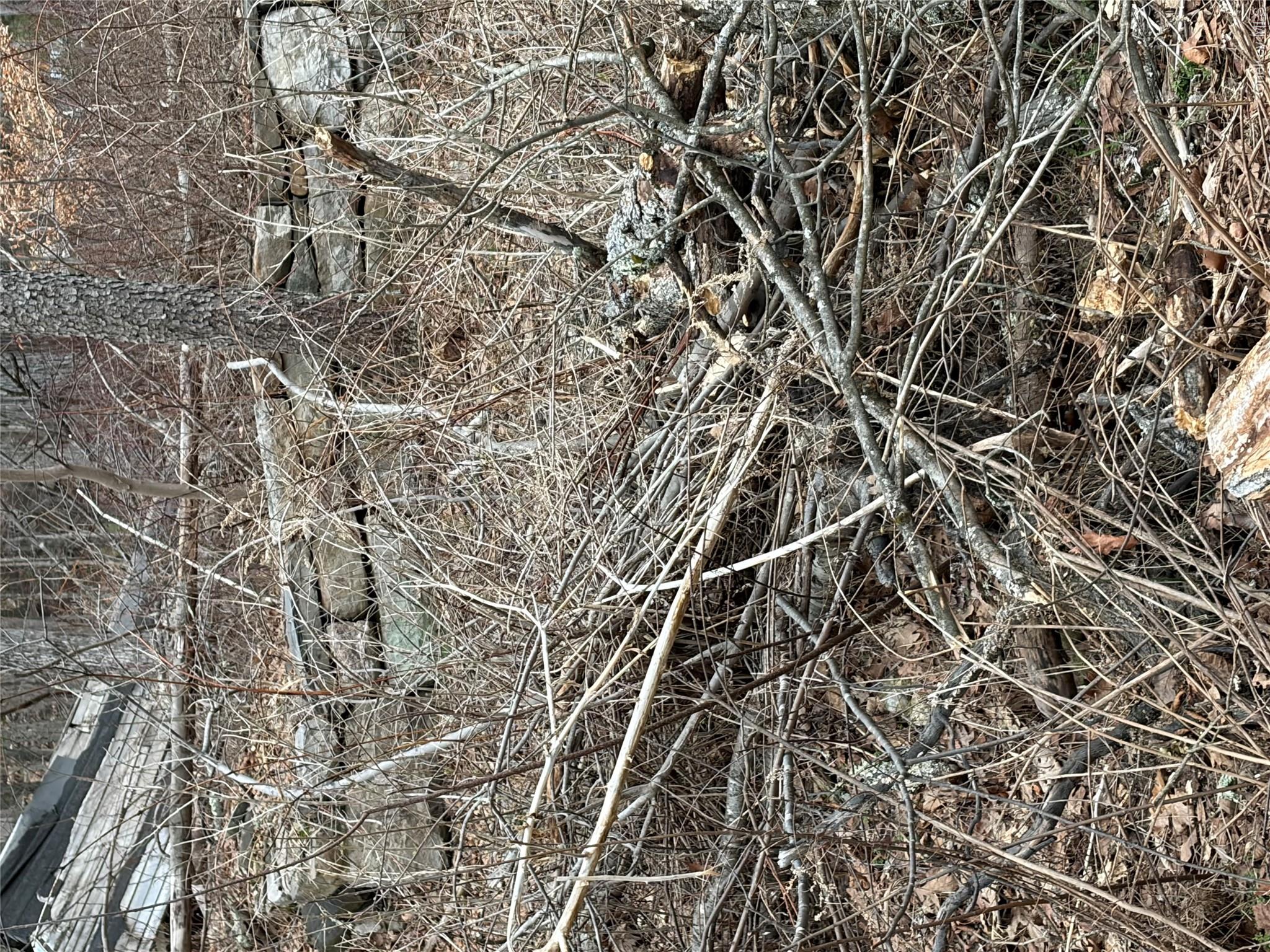 1501 Us Route 209 Property Photo 5