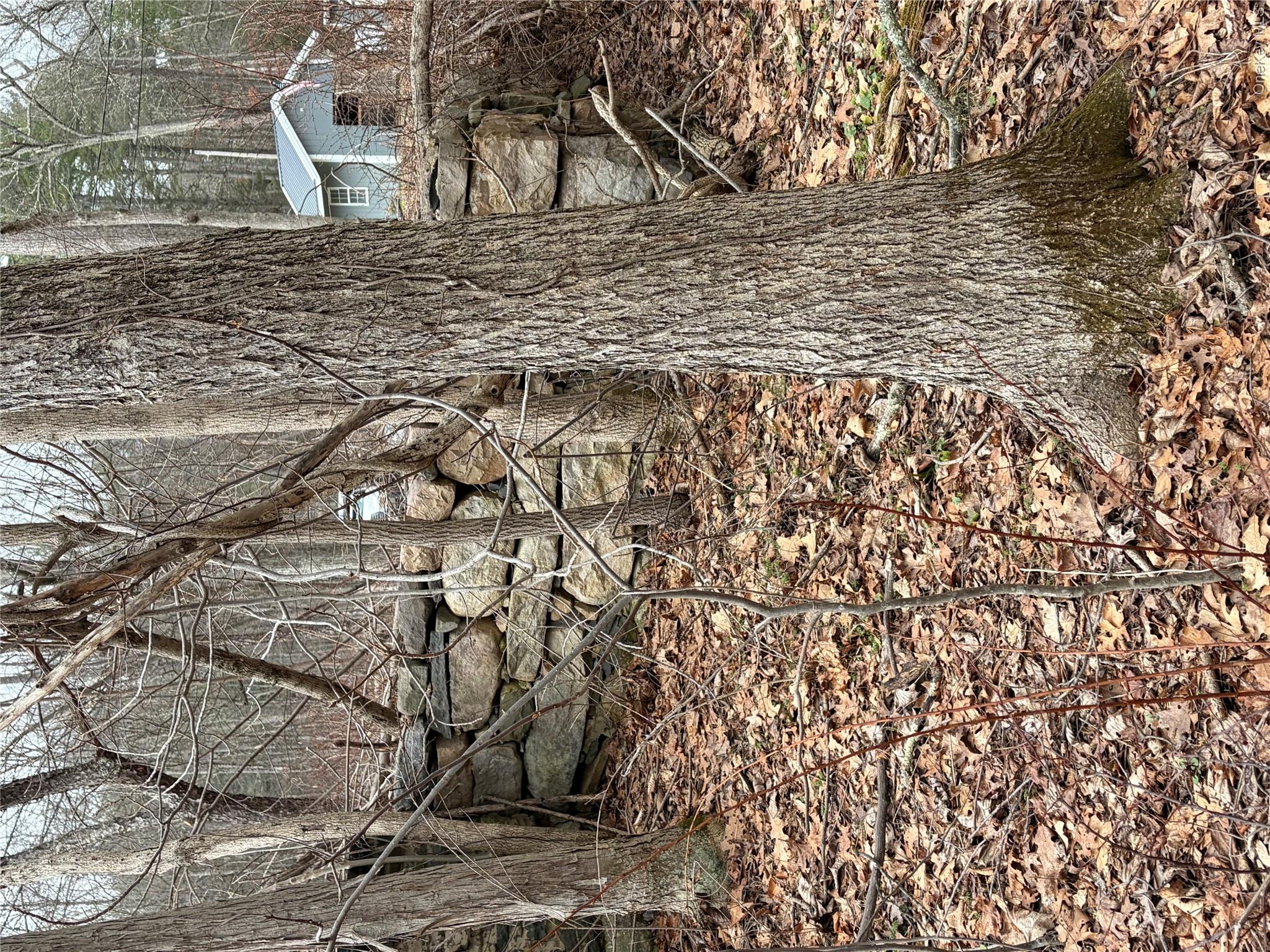 1501 Us Route 209 Property Photo 9