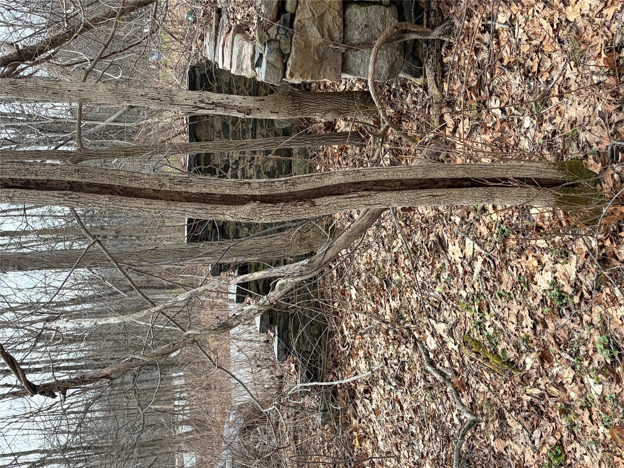 1501 Us Route 209 Property Photo 11
